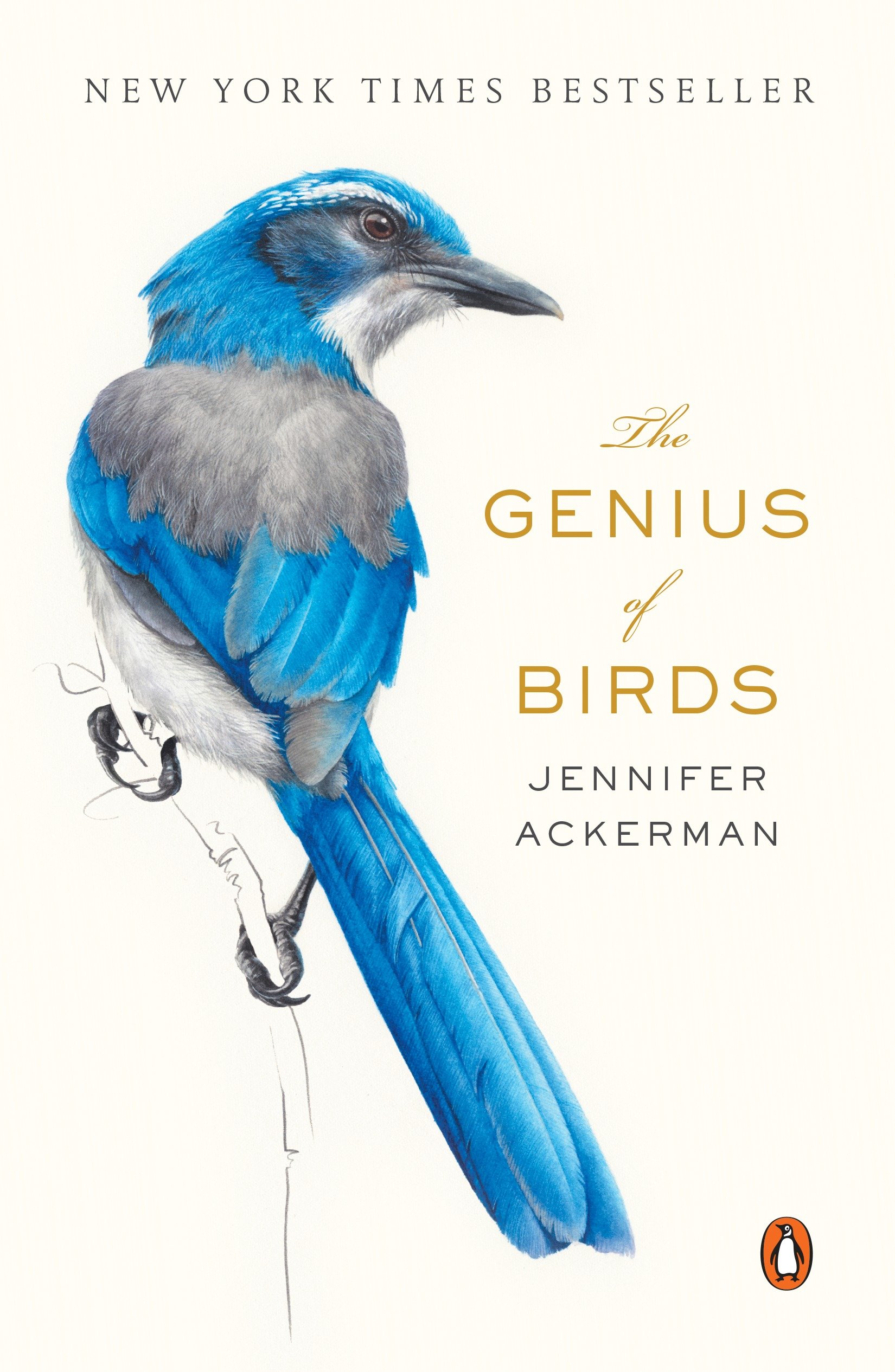 Cover image for The Genius of Birds [electronic resource] :