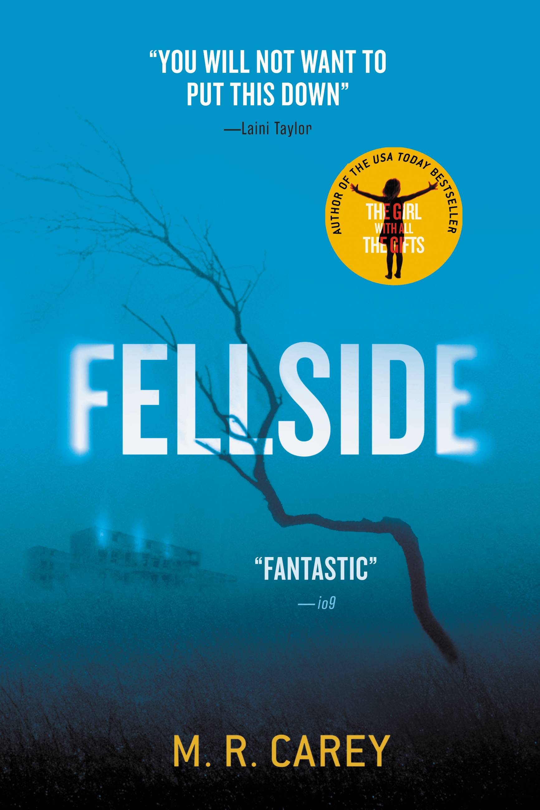 Umschlagbild für Fellside [electronic resource] :