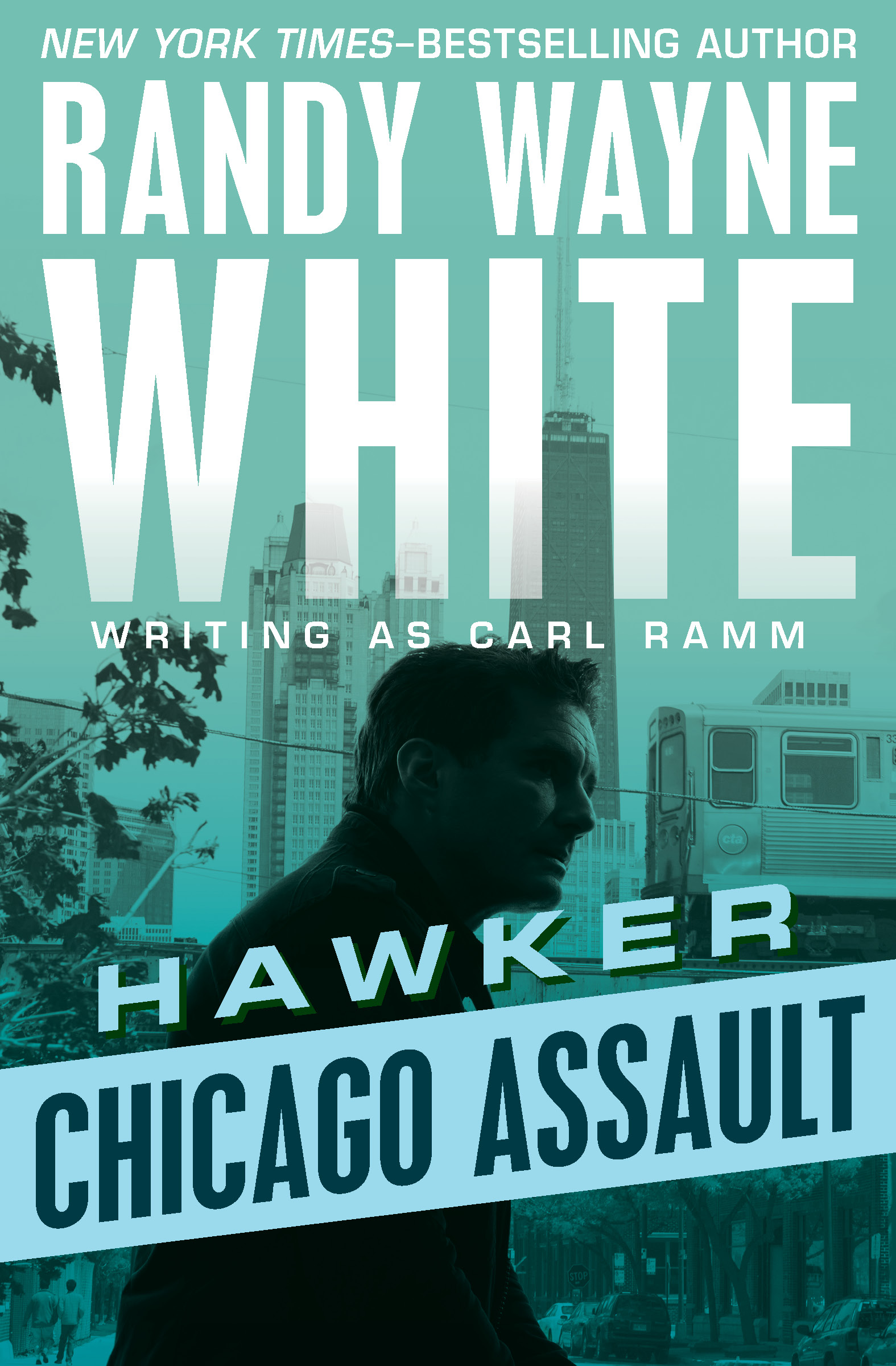 Cover image for Chicago Assault [electronic resource] :