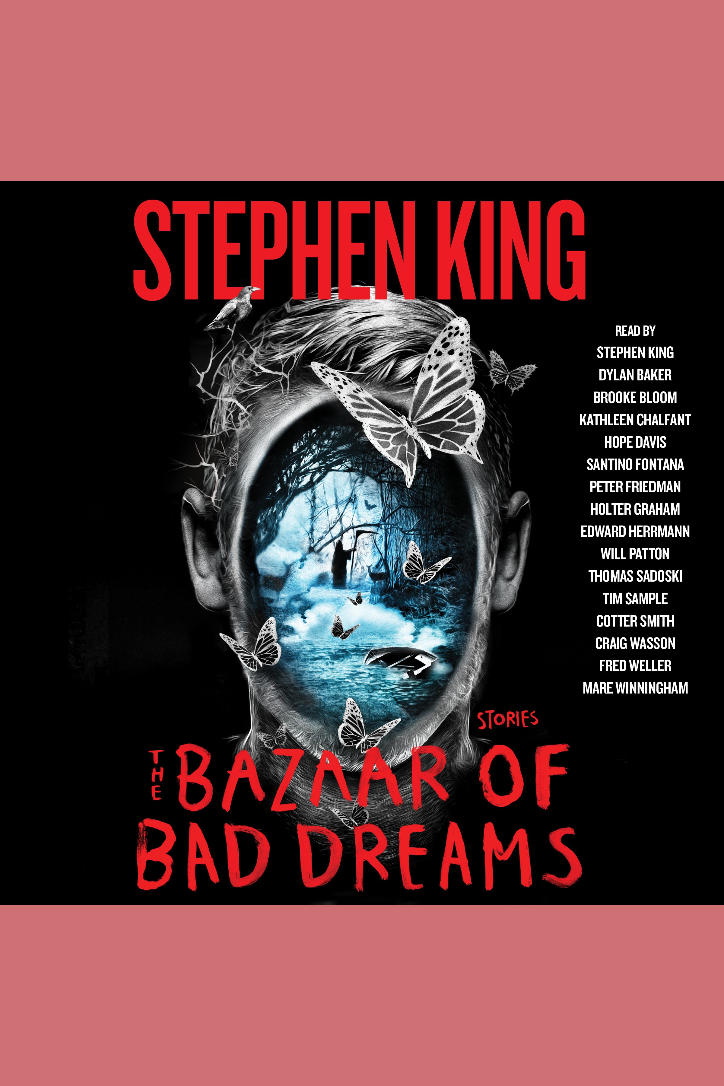 Cover image for The Bazaar of Bad Dreams [electronic resource] :