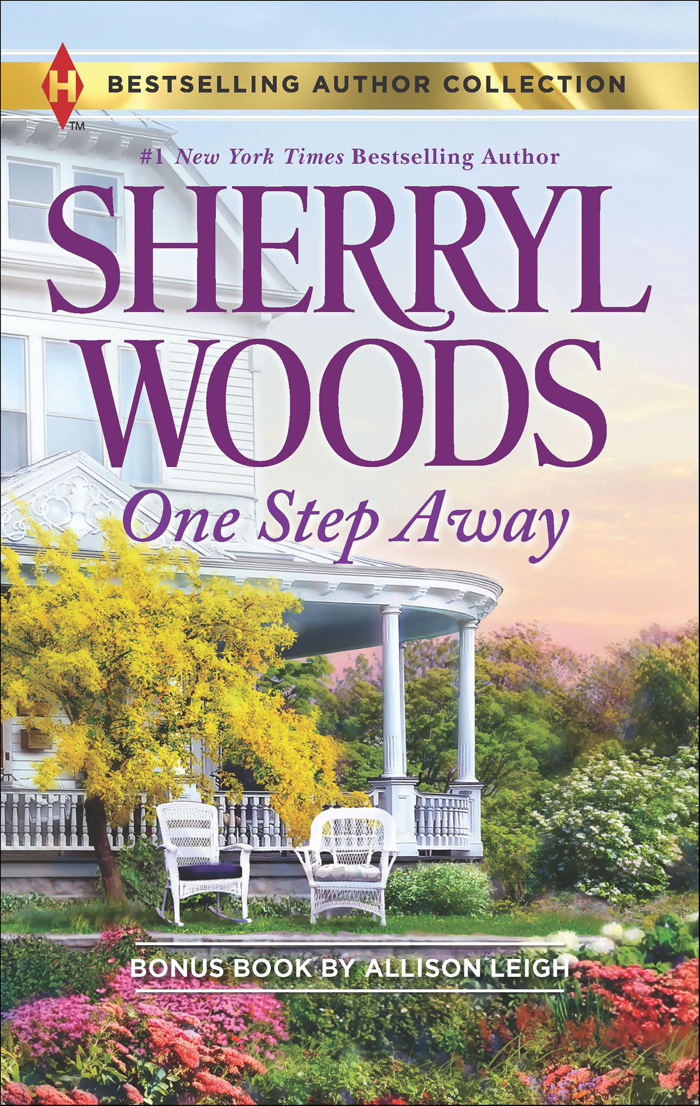Image de couverture de One Step Away [electronic resource] :