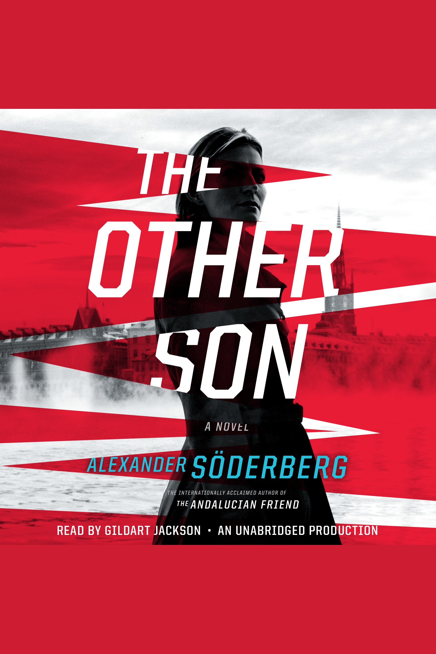 Cover image for The Other Son [electronic resource] :
