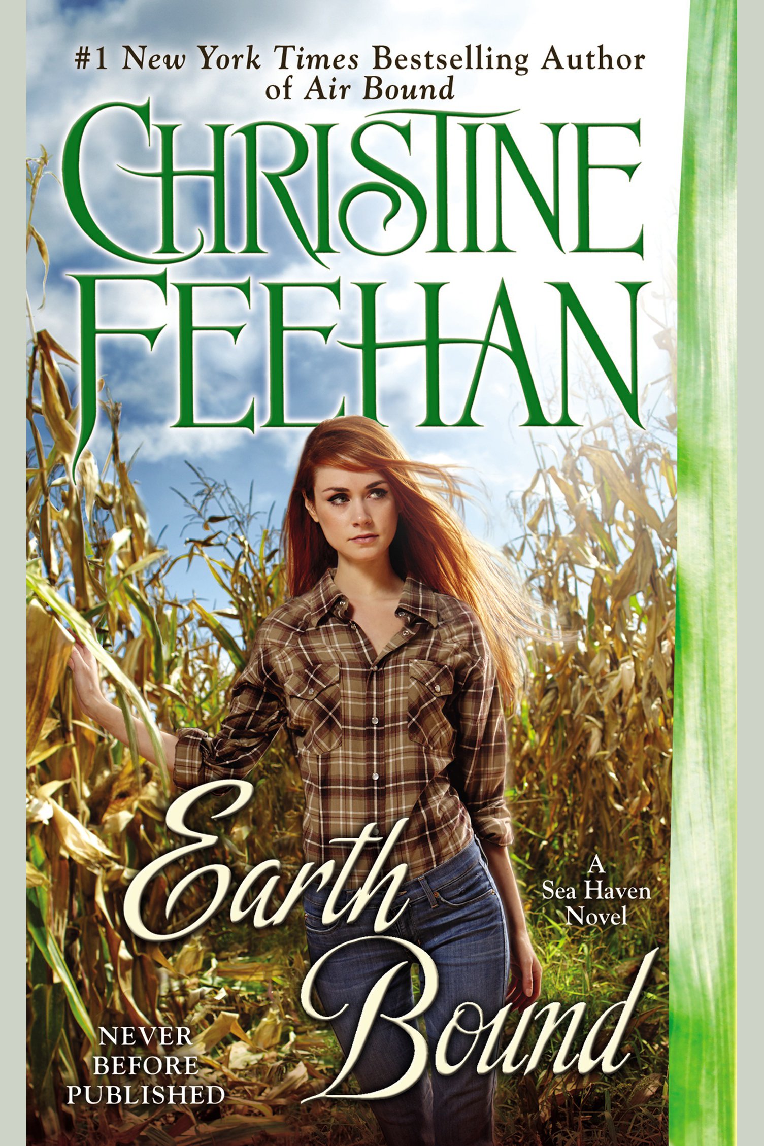 Cover image for Earth Bound [electronic resource] :