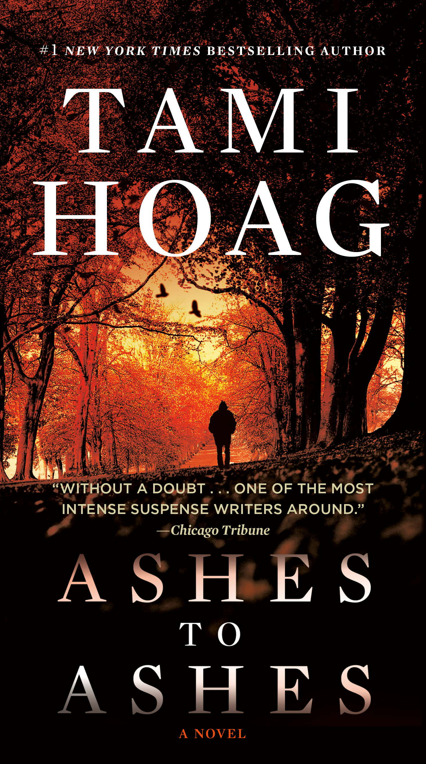 Umschlagbild für Ashes to Ashes [electronic resource] : A Novel