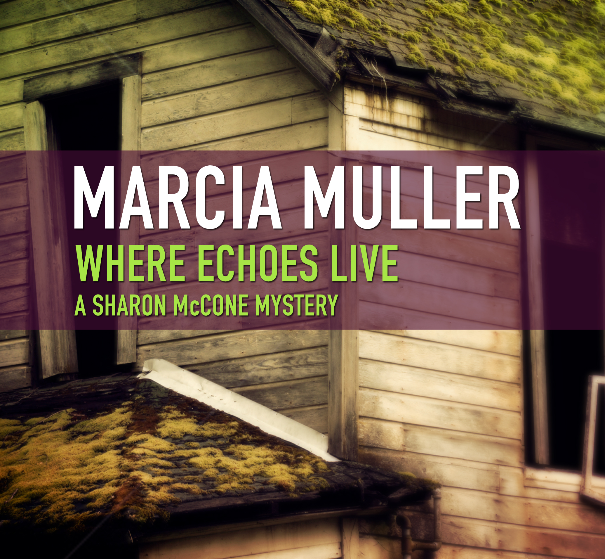 Cover image for Where Echoes Live [electronic resource] :