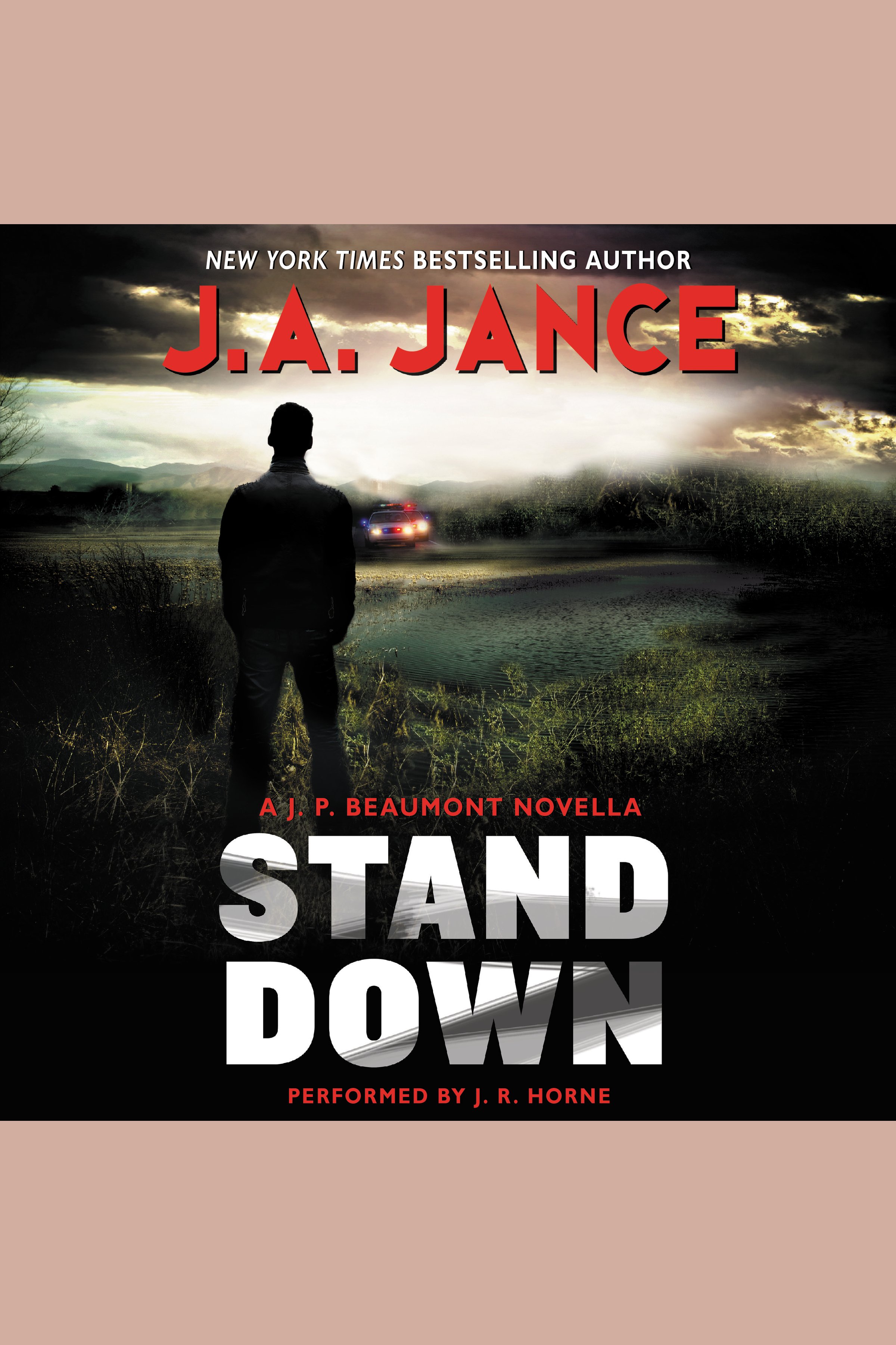 Cover image for Stand Down [electronic resource] : A J.P. Beaumont Novella