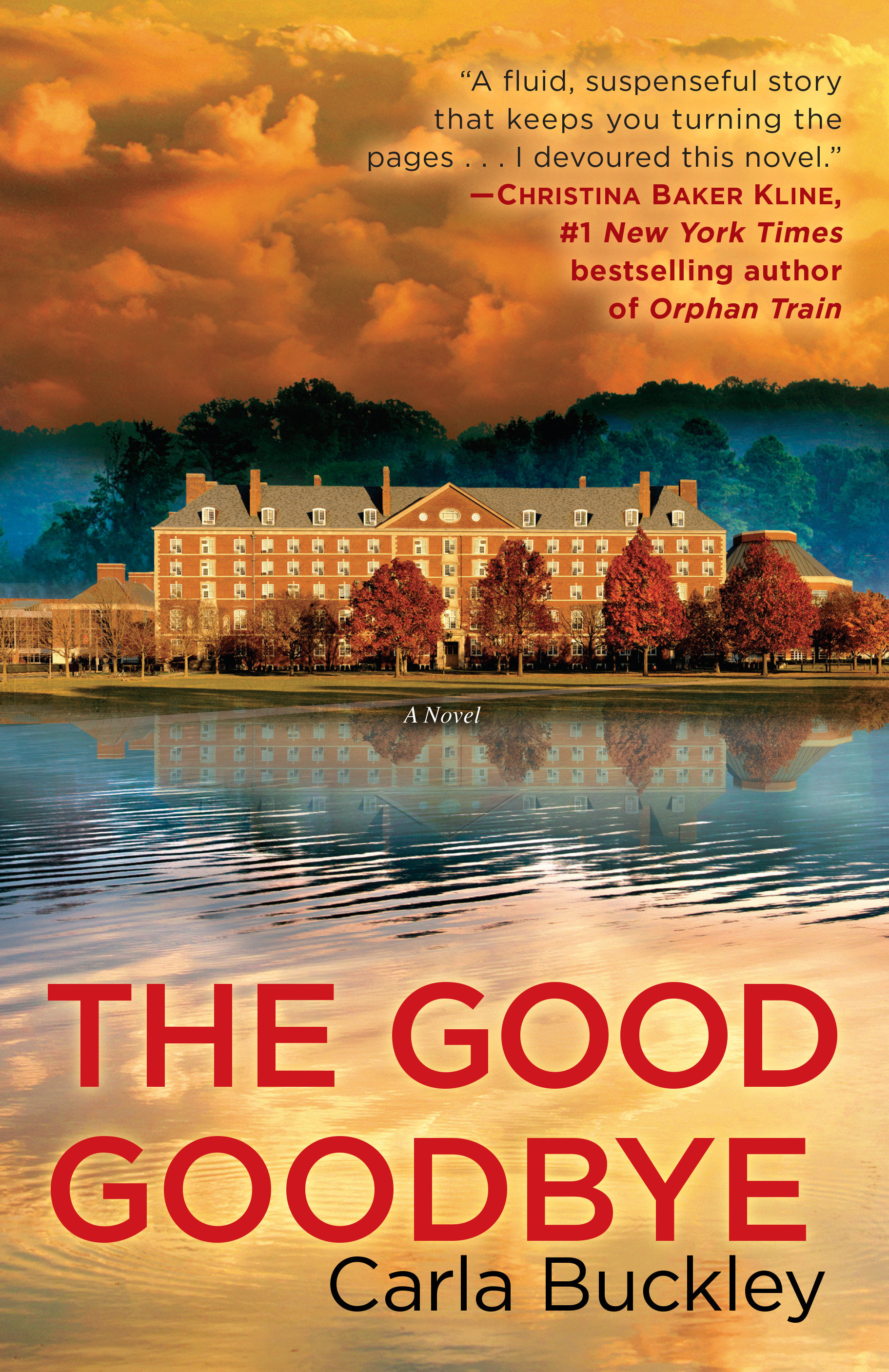 Cover image for The Good Goodbye [electronic resource] : A Novel