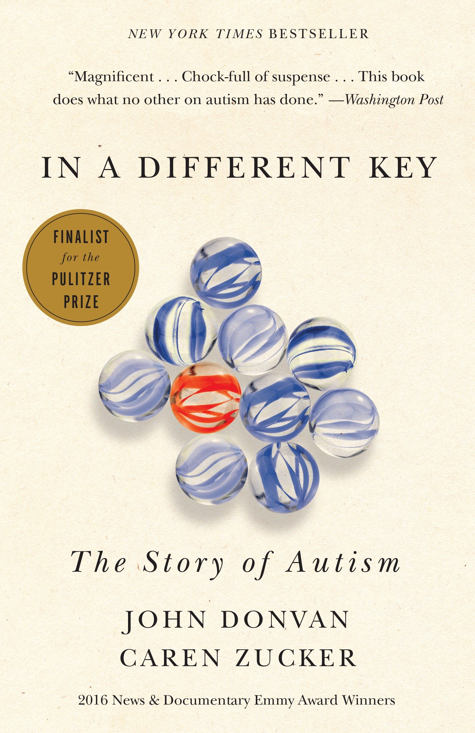 Cover image for In a Different Key [electronic resource] : The Story of Autism