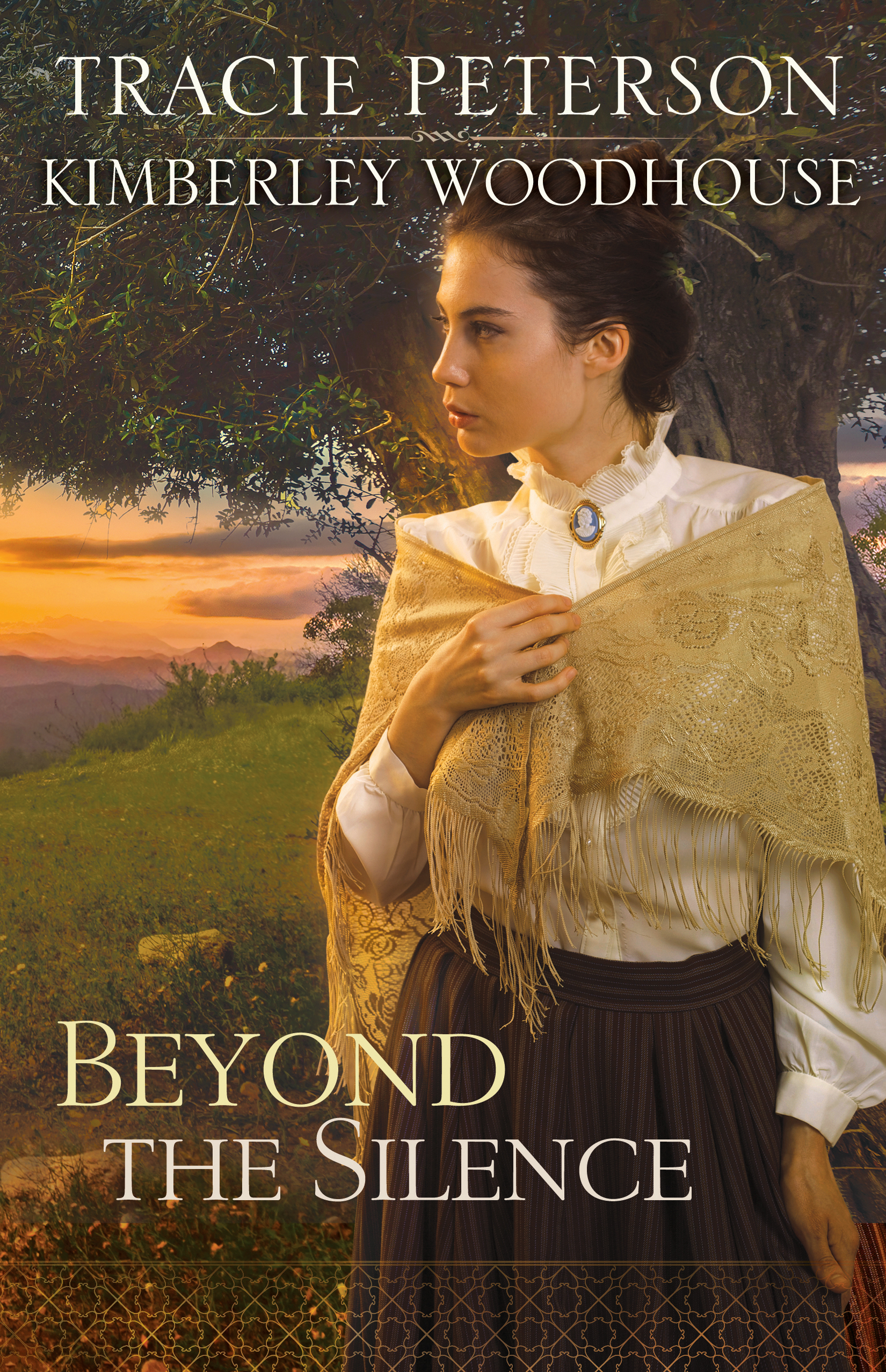 Cover image for Beyond the Silence [electronic resource] :