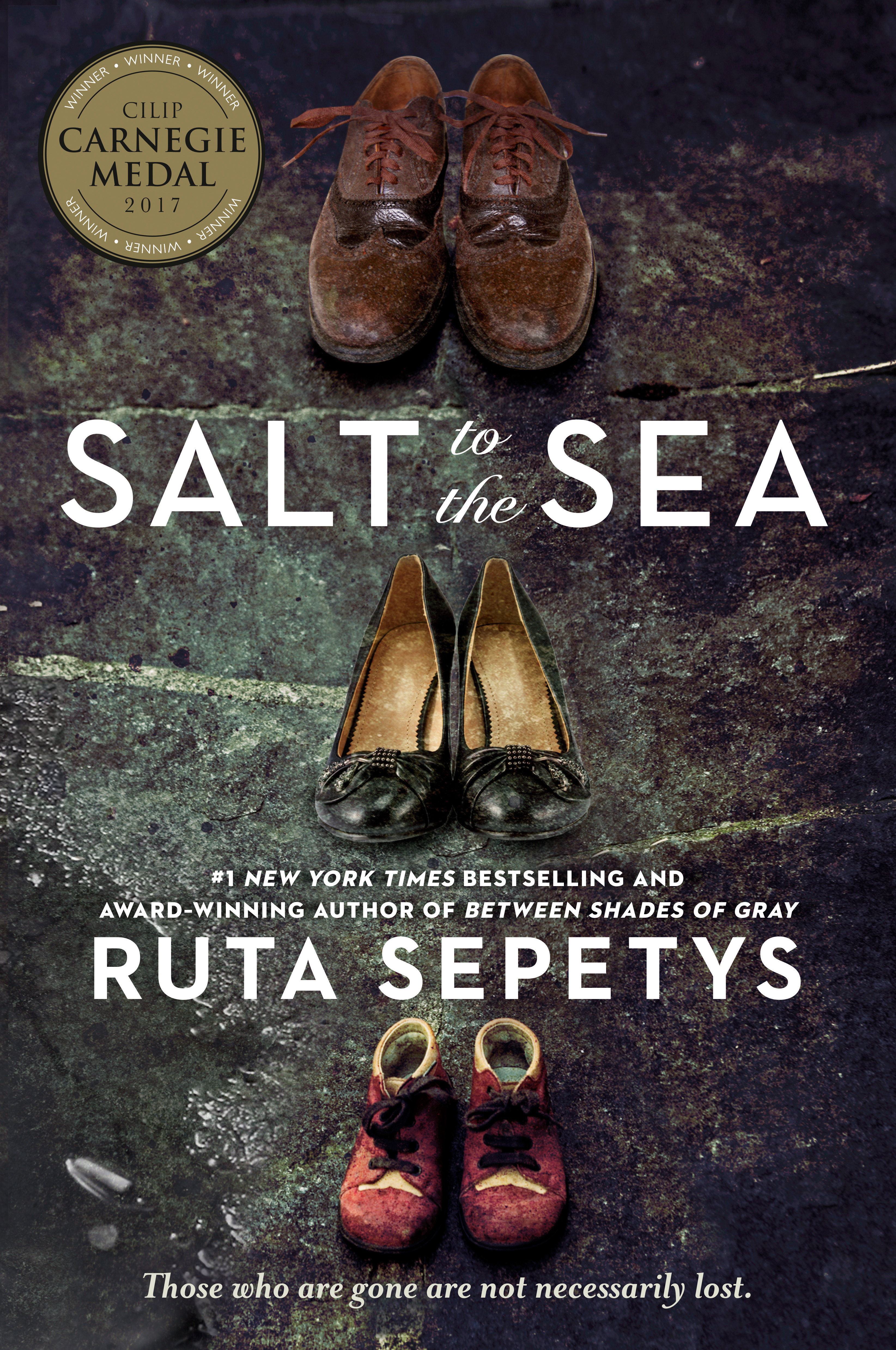 Imagen de portada para Salt to the Sea [electronic resource] :