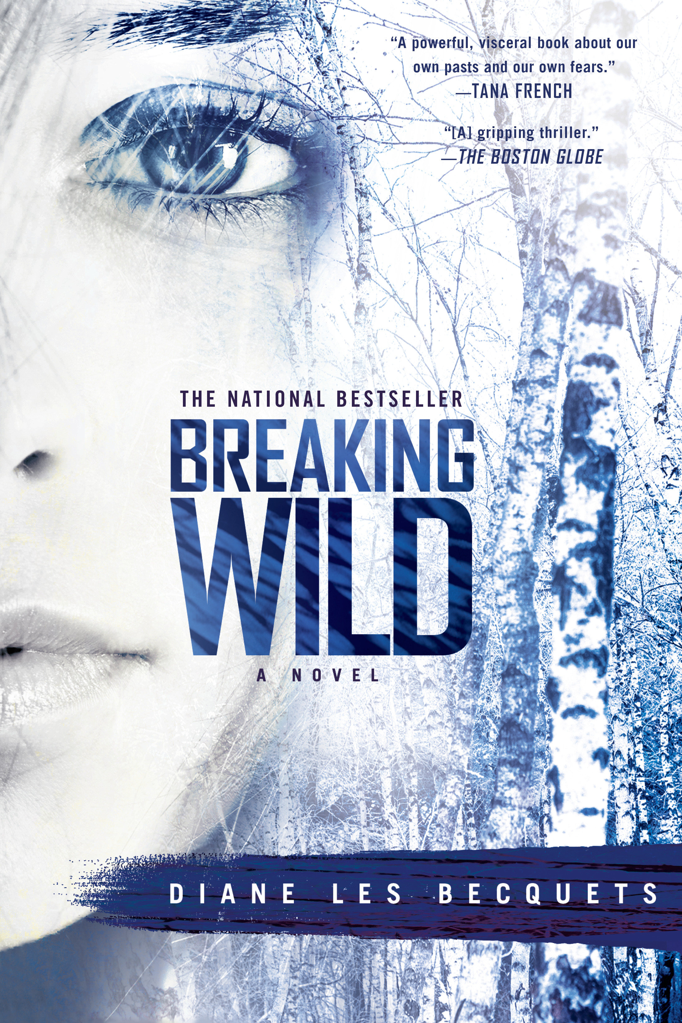 Cover image for Breaking Wild [electronic resource] :