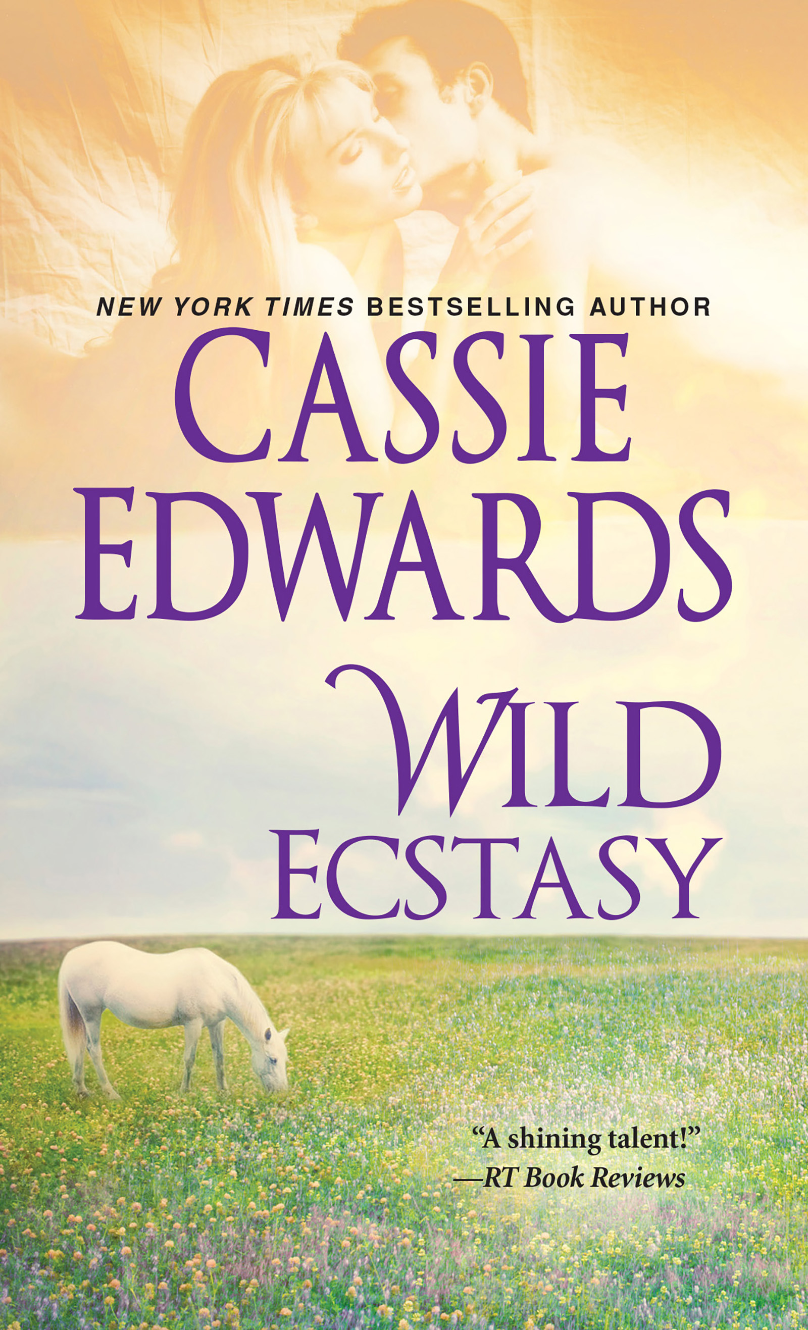Cover image for Wild Ecstasy [electronic resource] :