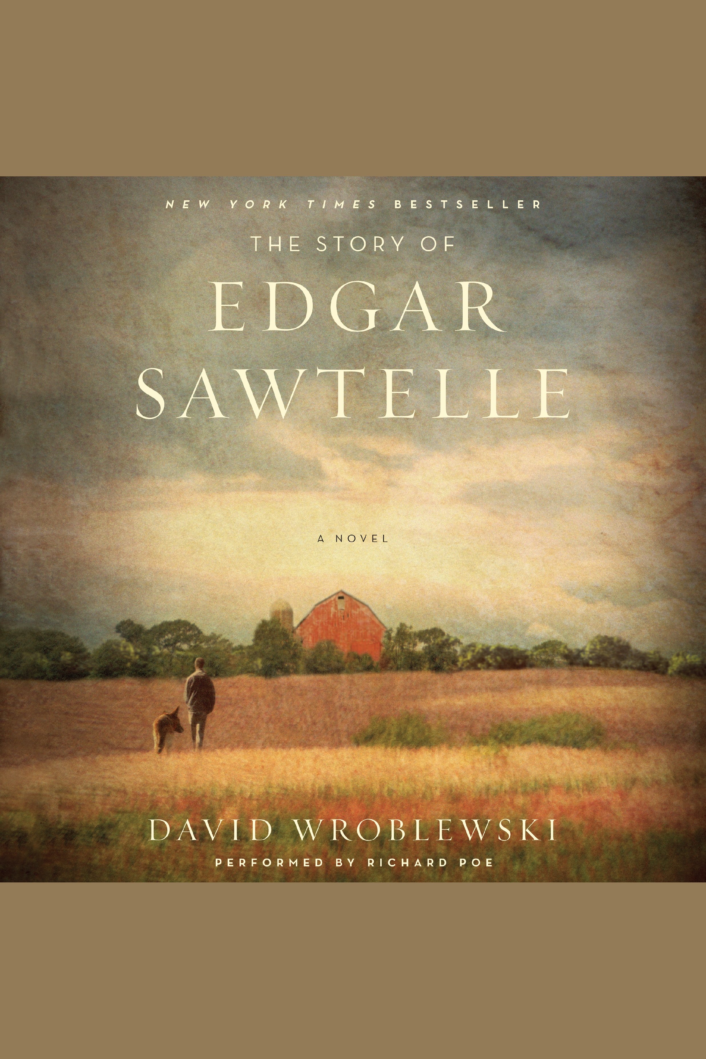 Cover image for The Story of Edgar Sawtelle [electronic resource] :
