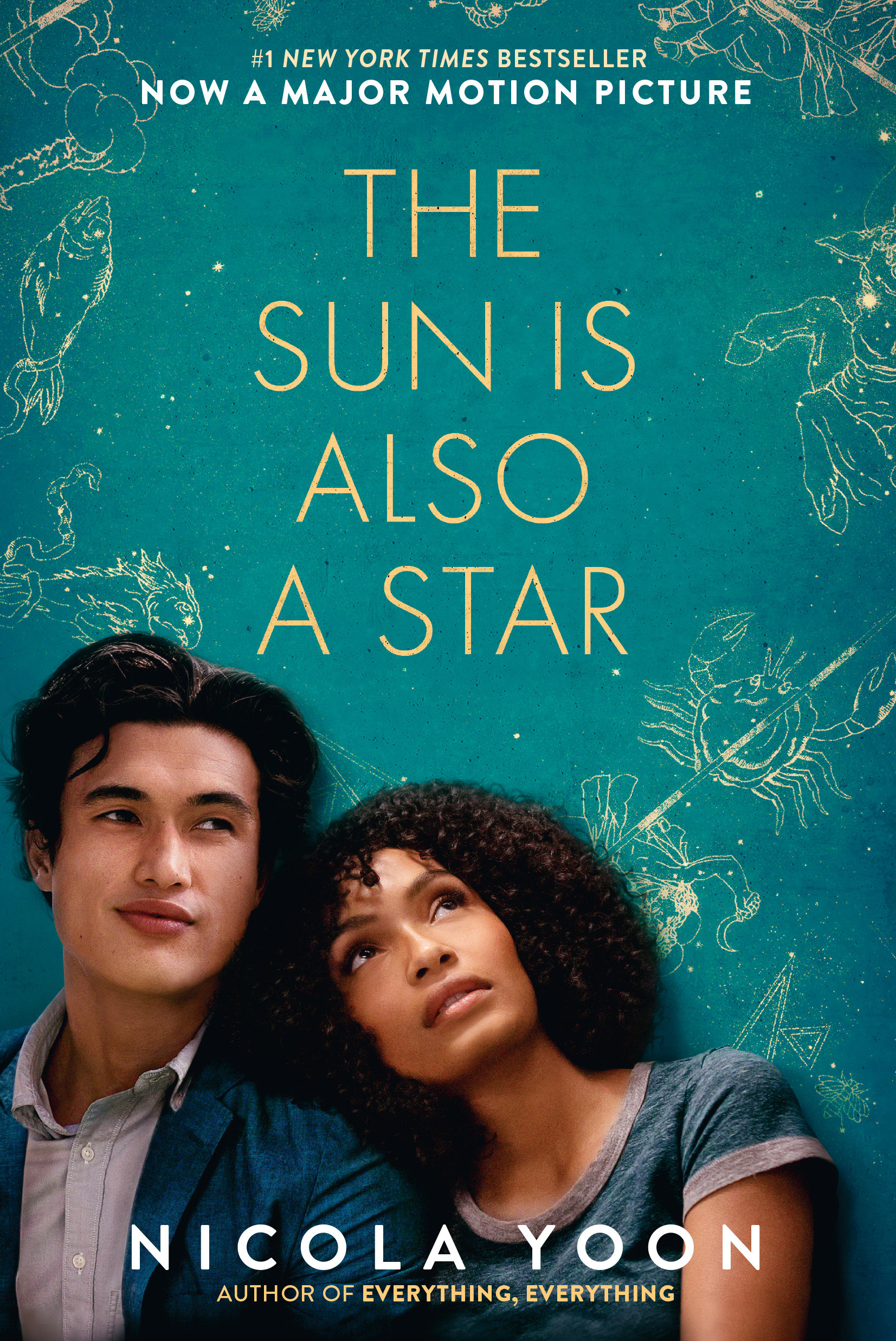 Cover image for The Sun Is Also a Star [electronic resource] :