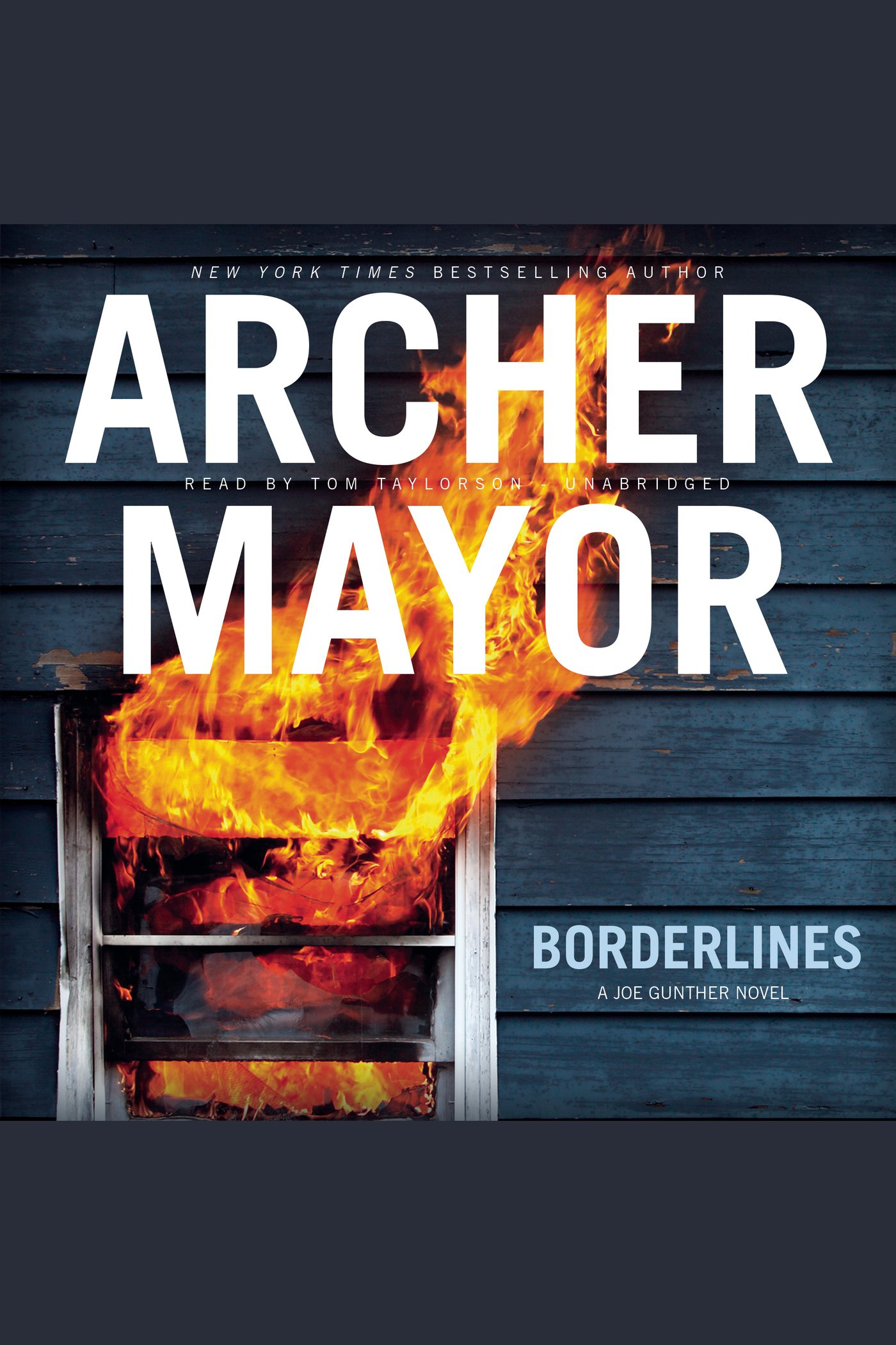 Cover image for Borderlines [electronic resource] :