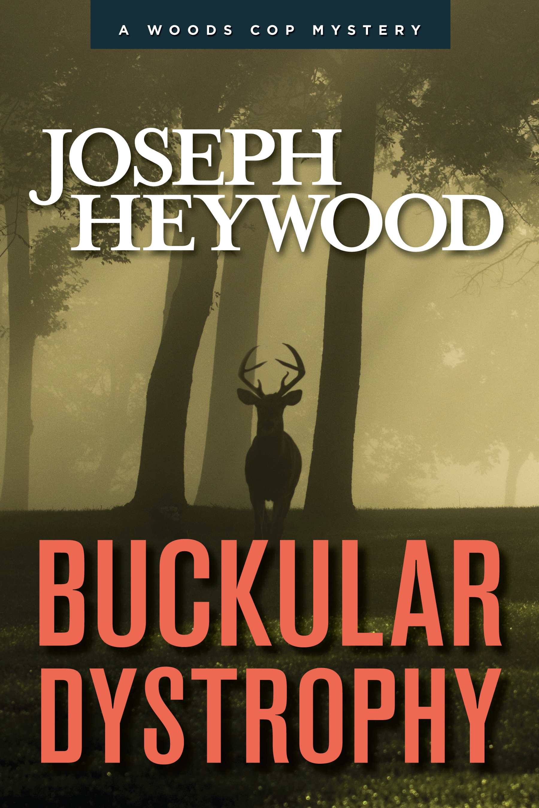 Image de couverture de Buckular Dystrophy [electronic resource] : A Woods Cop Mystery