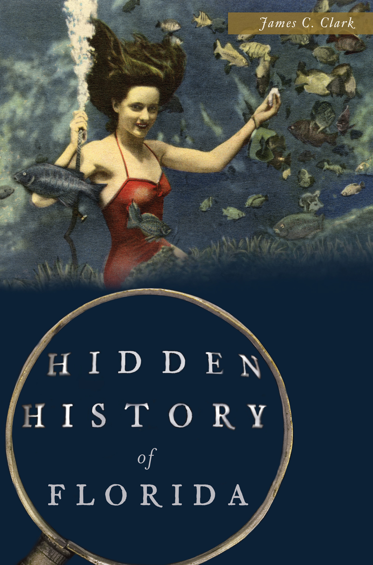 Umschlagbild für Hidden History of Florida [electronic resource] :