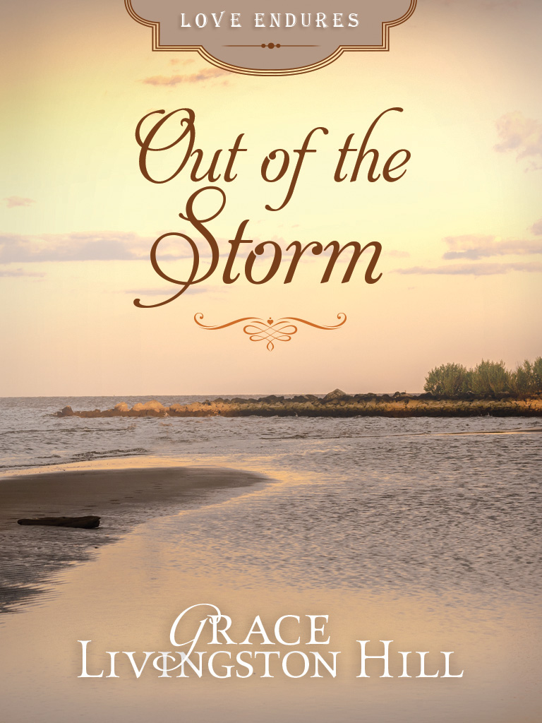 Cover image for Out of the Storm [electronic resource] :