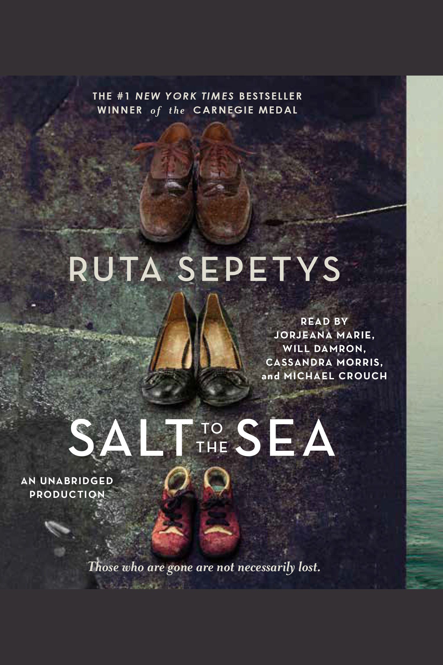 Salt to the Sea cover image