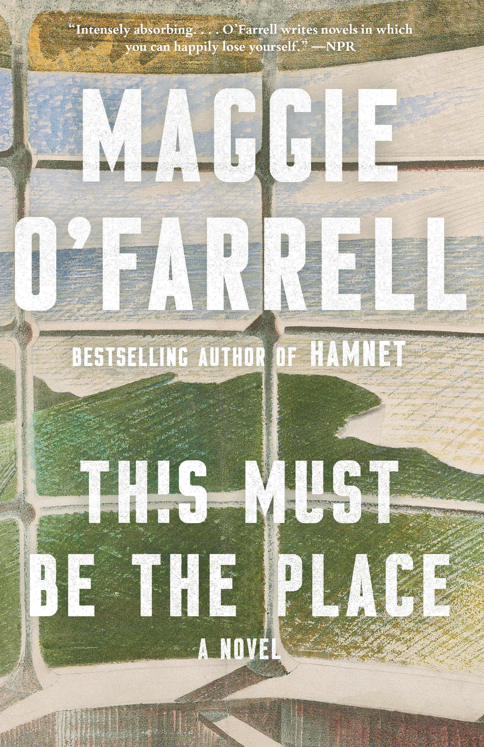 Cover image for This Must Be the Place [electronic resource] : A novel