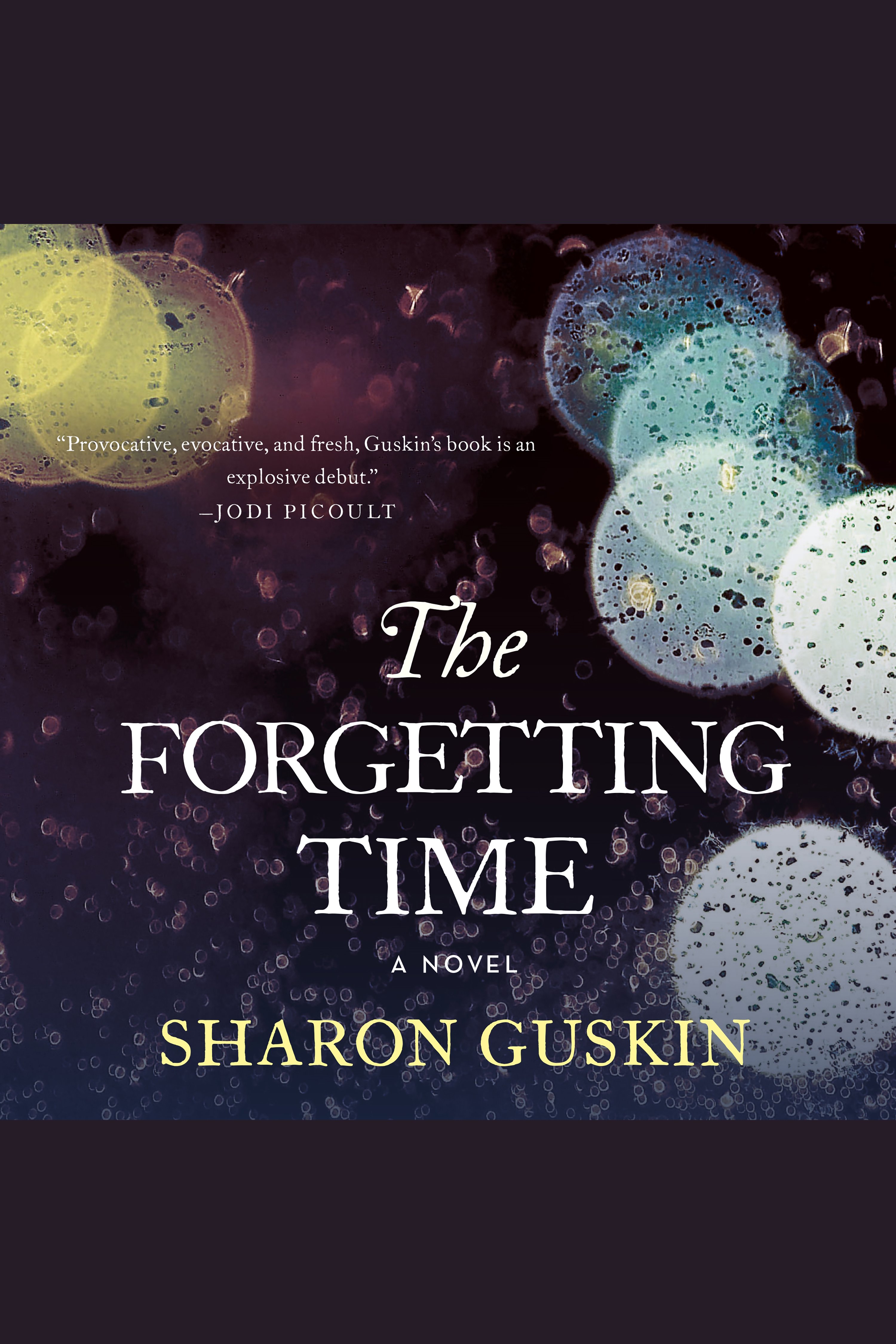 Image de couverture de The Forgetting Time [electronic resource] :