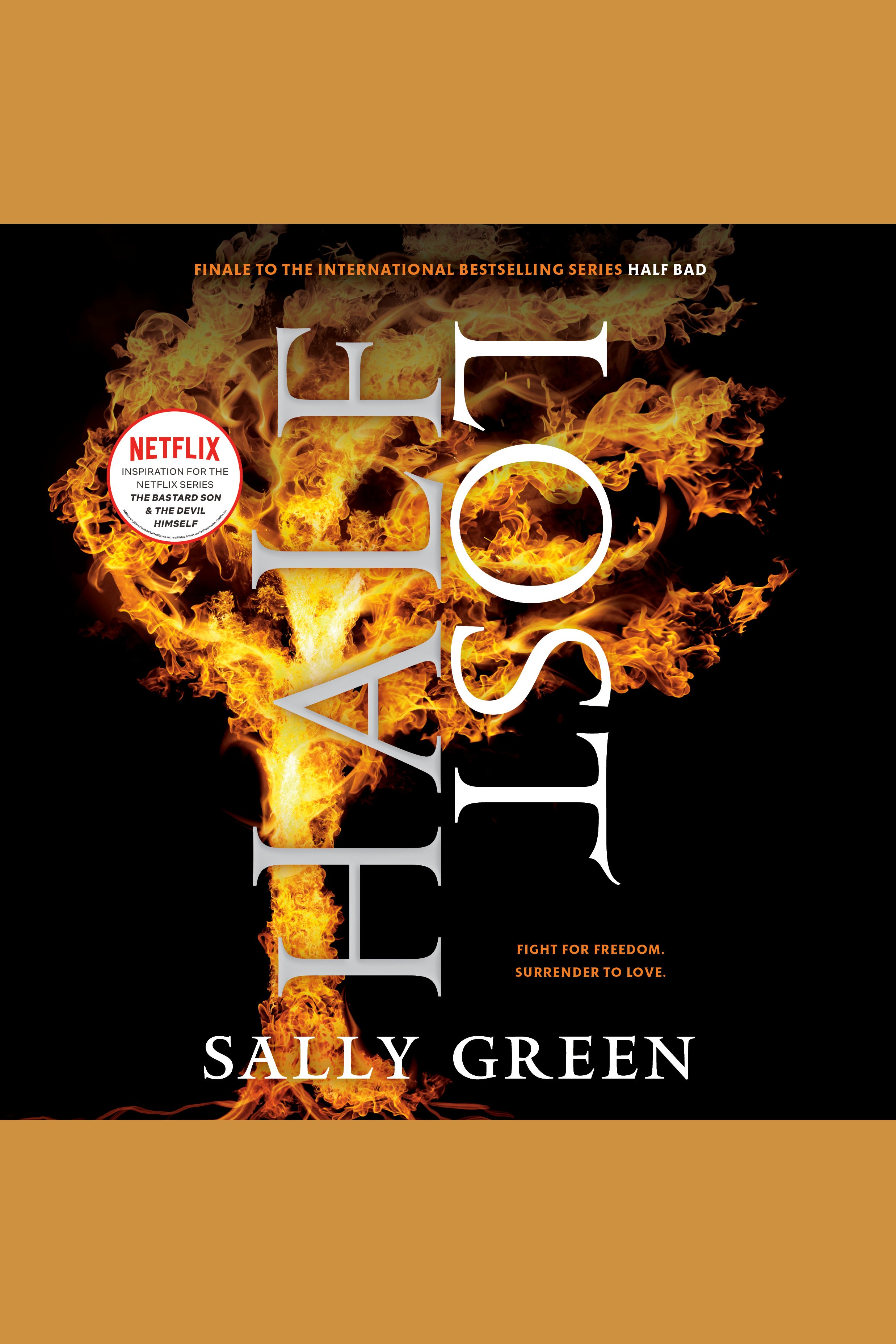 Umschlagbild für Half Lost [electronic resource] : Half Bad Trilogy