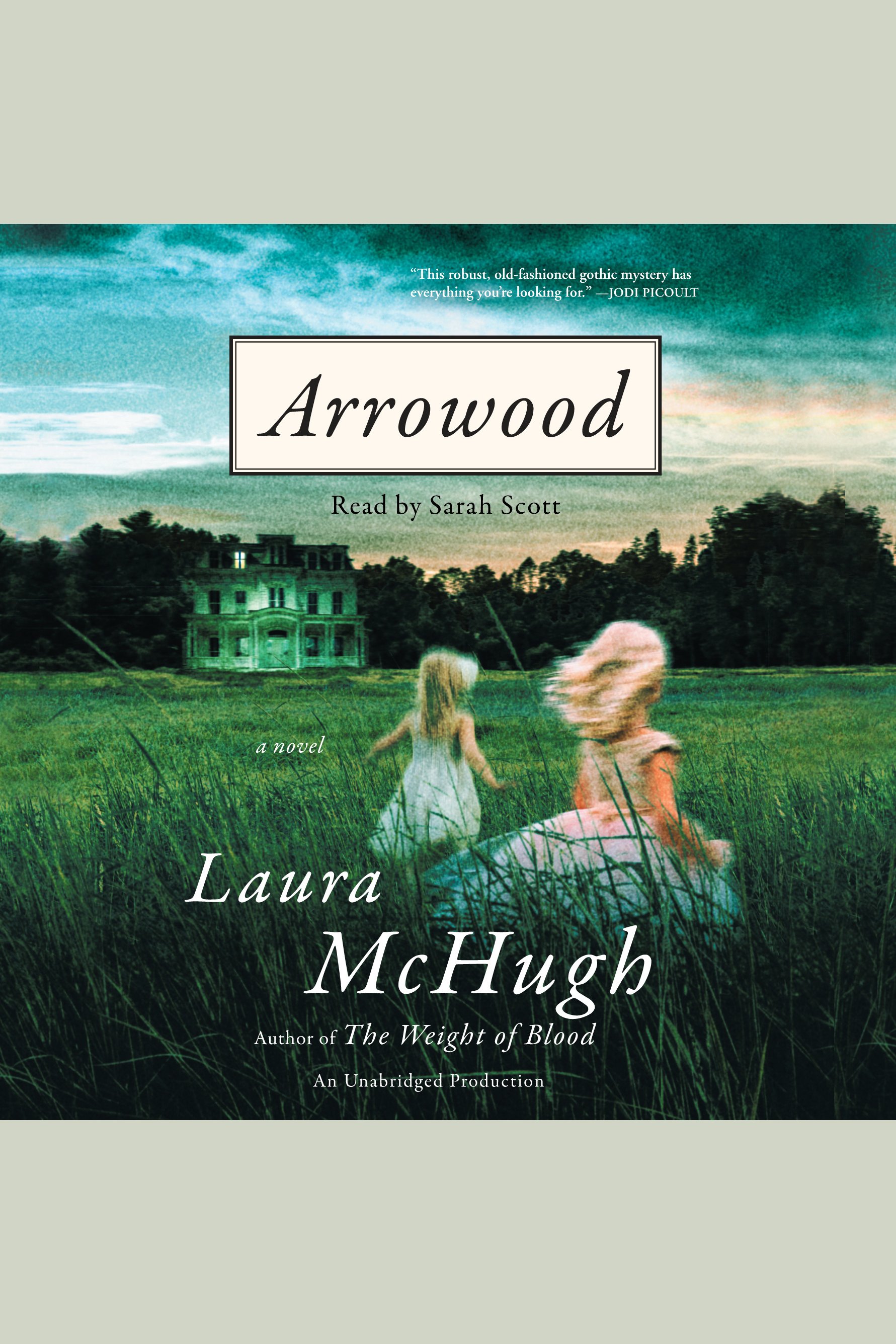 Cover image for Arrowood [electronic resource] : A Novel