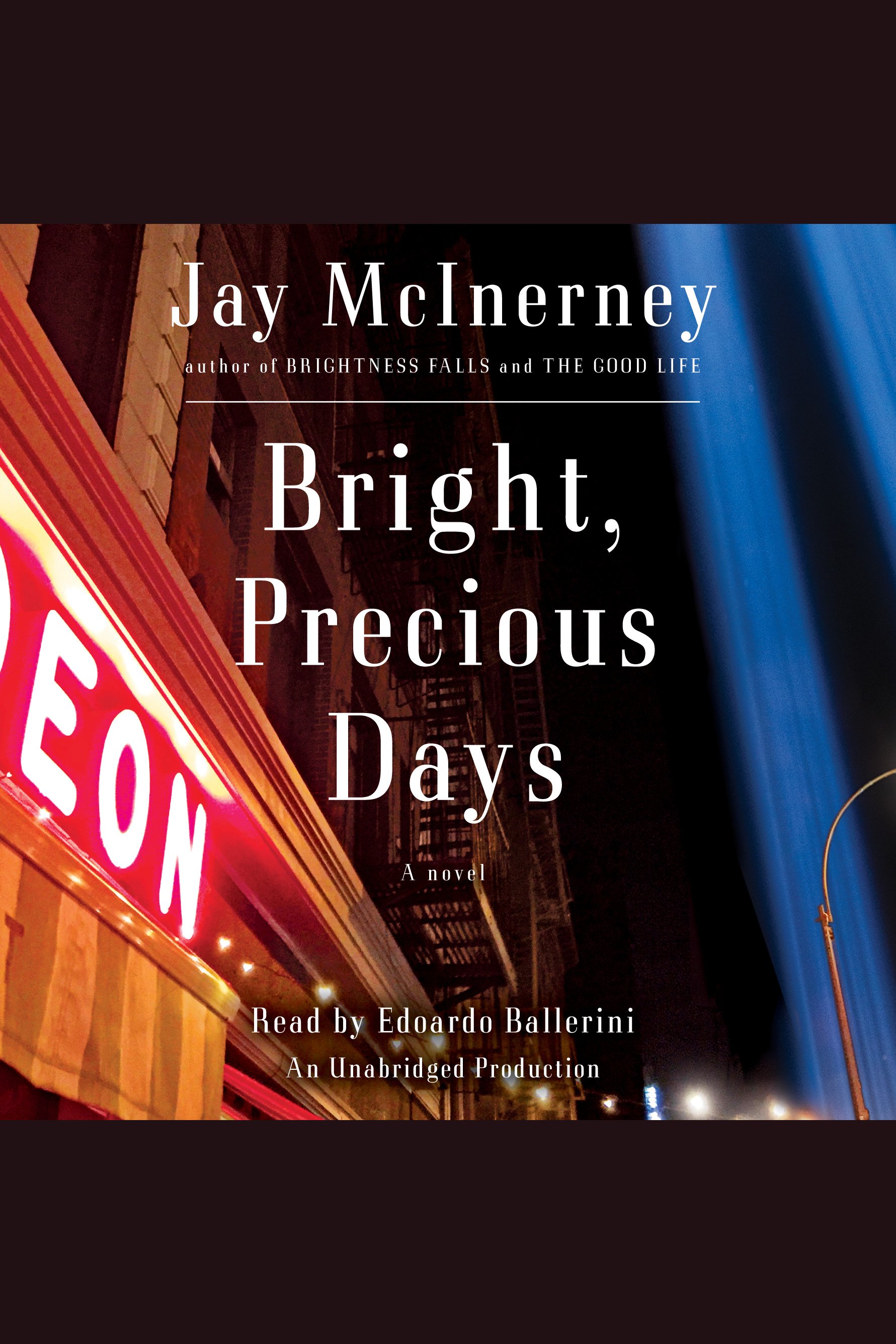 Image de couverture de Bright, Precious Days [electronic resource] : A novel