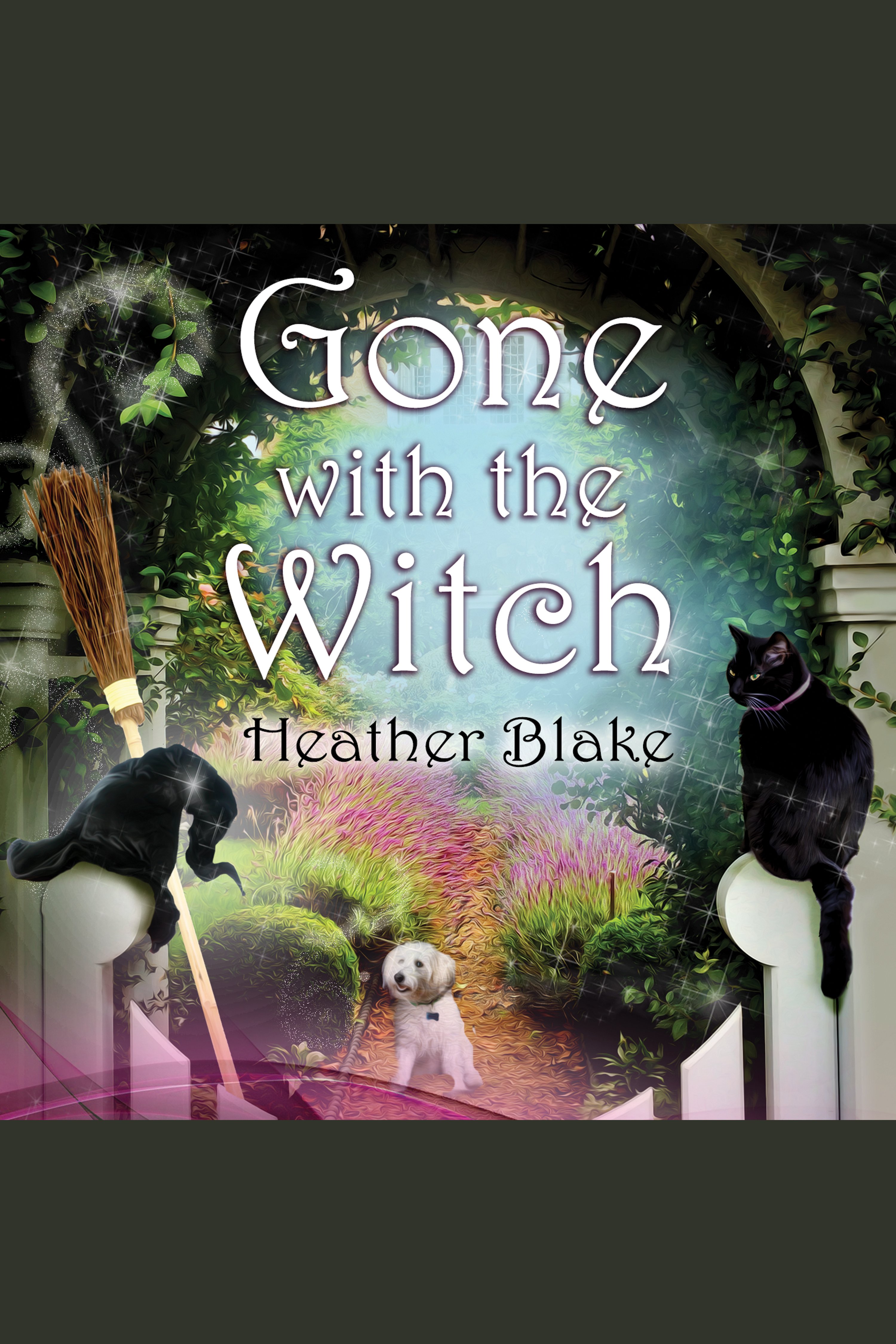 Cover image for Gone With the Witch [electronic resource] :