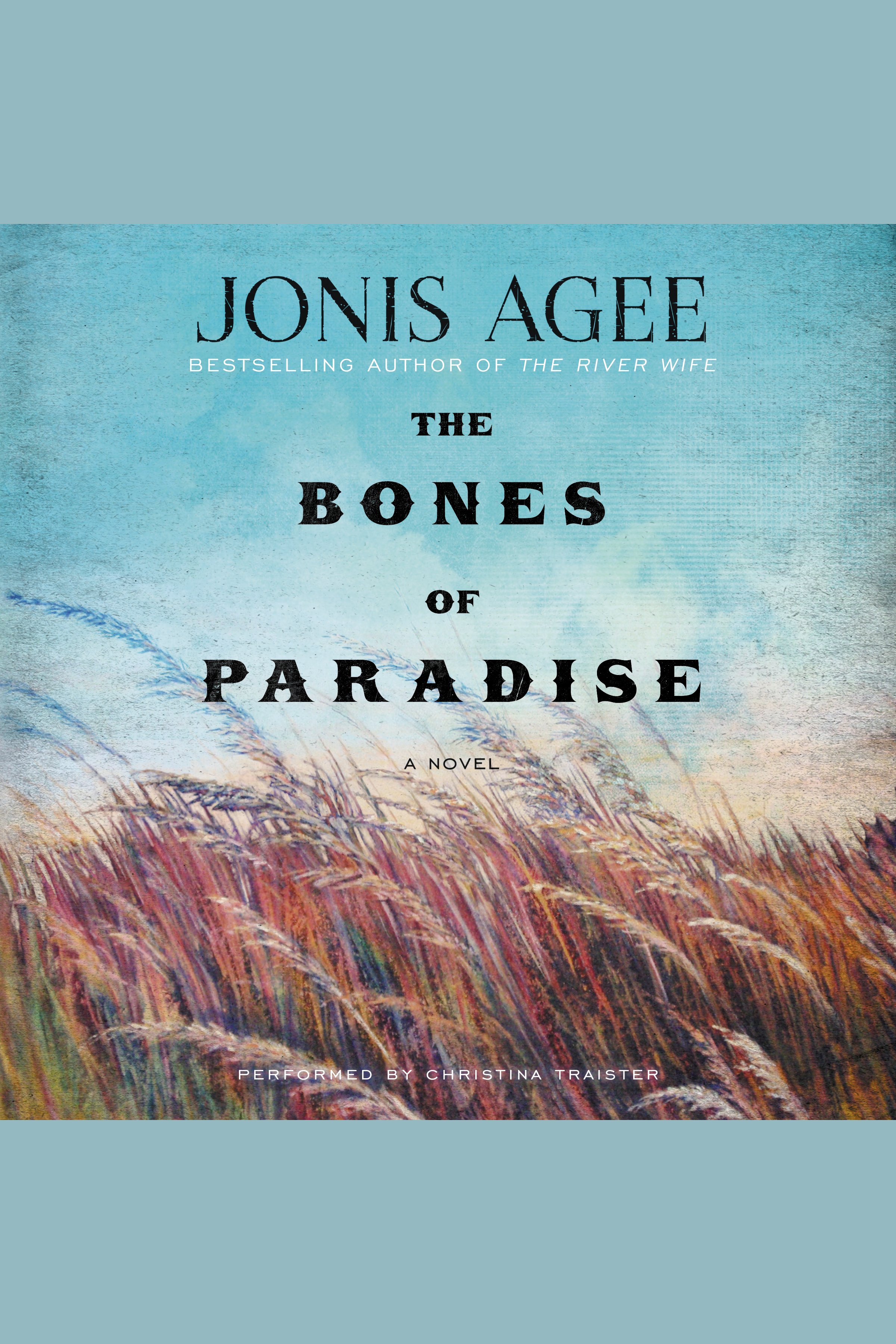 Cover image for Bones of Paradise [electronic resource] : A Novel