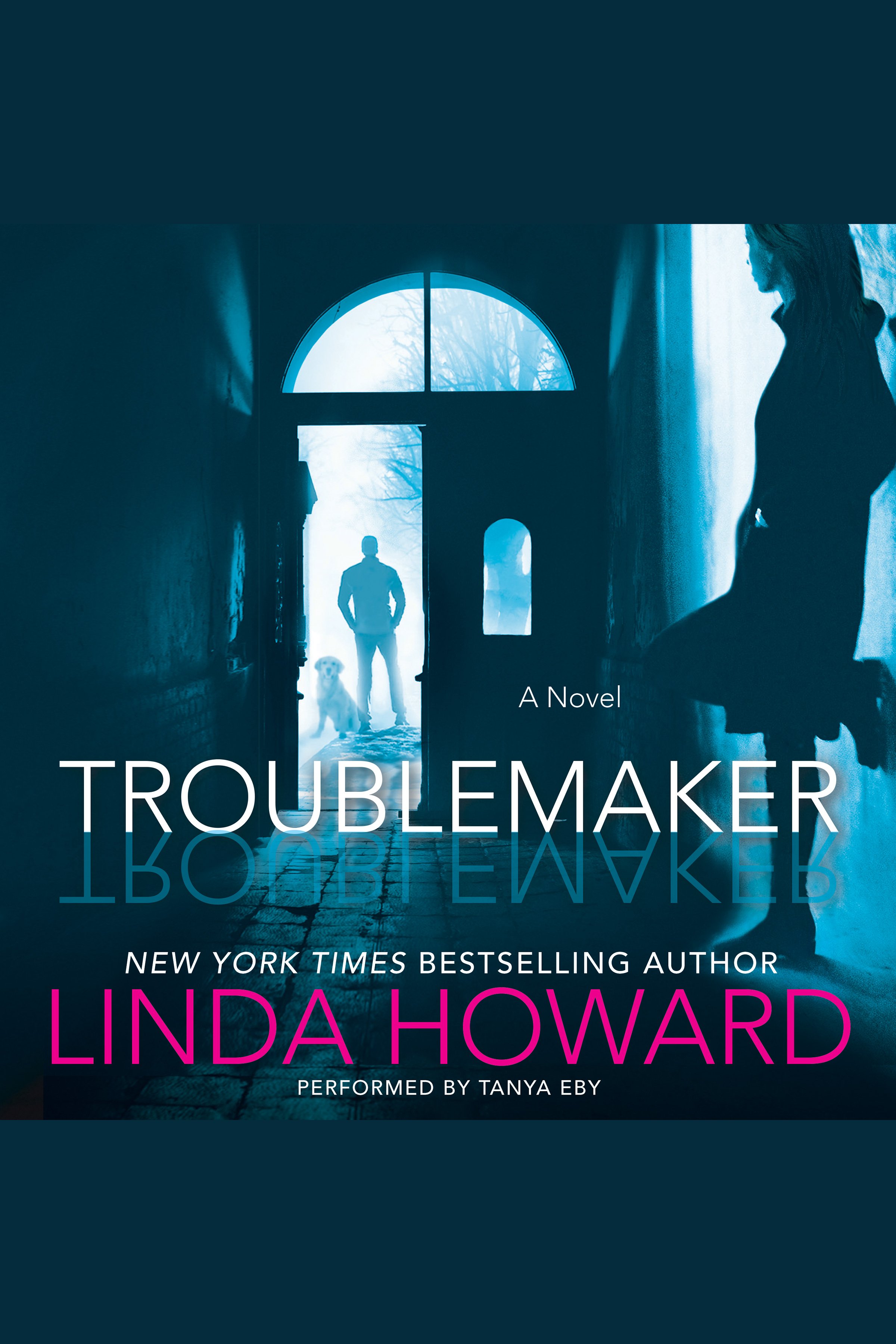 Imagen de portada para Troublemaker [electronic resource] : A Novel