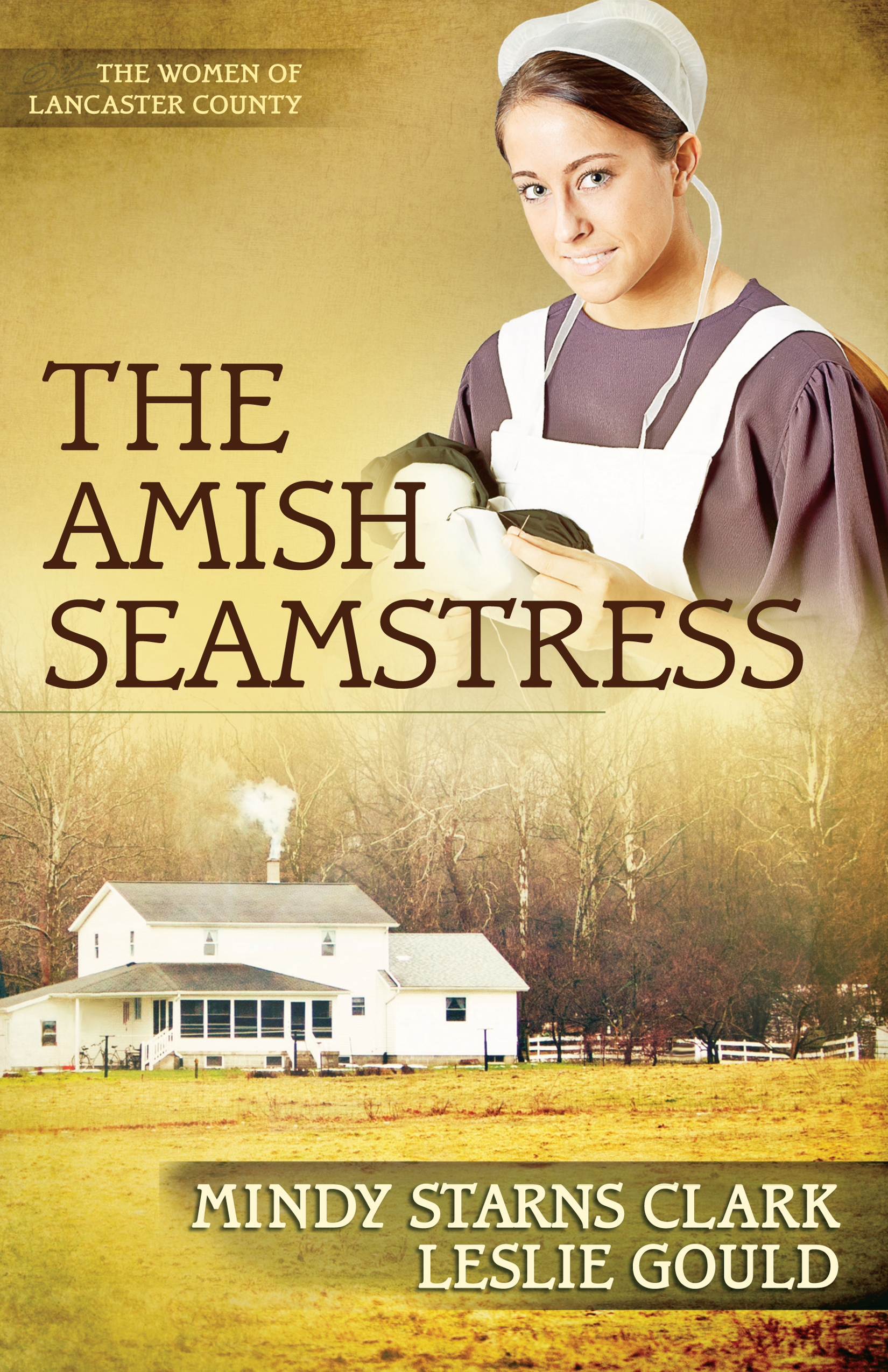 Umschlagbild für The Amish Seamstress [electronic resource] :