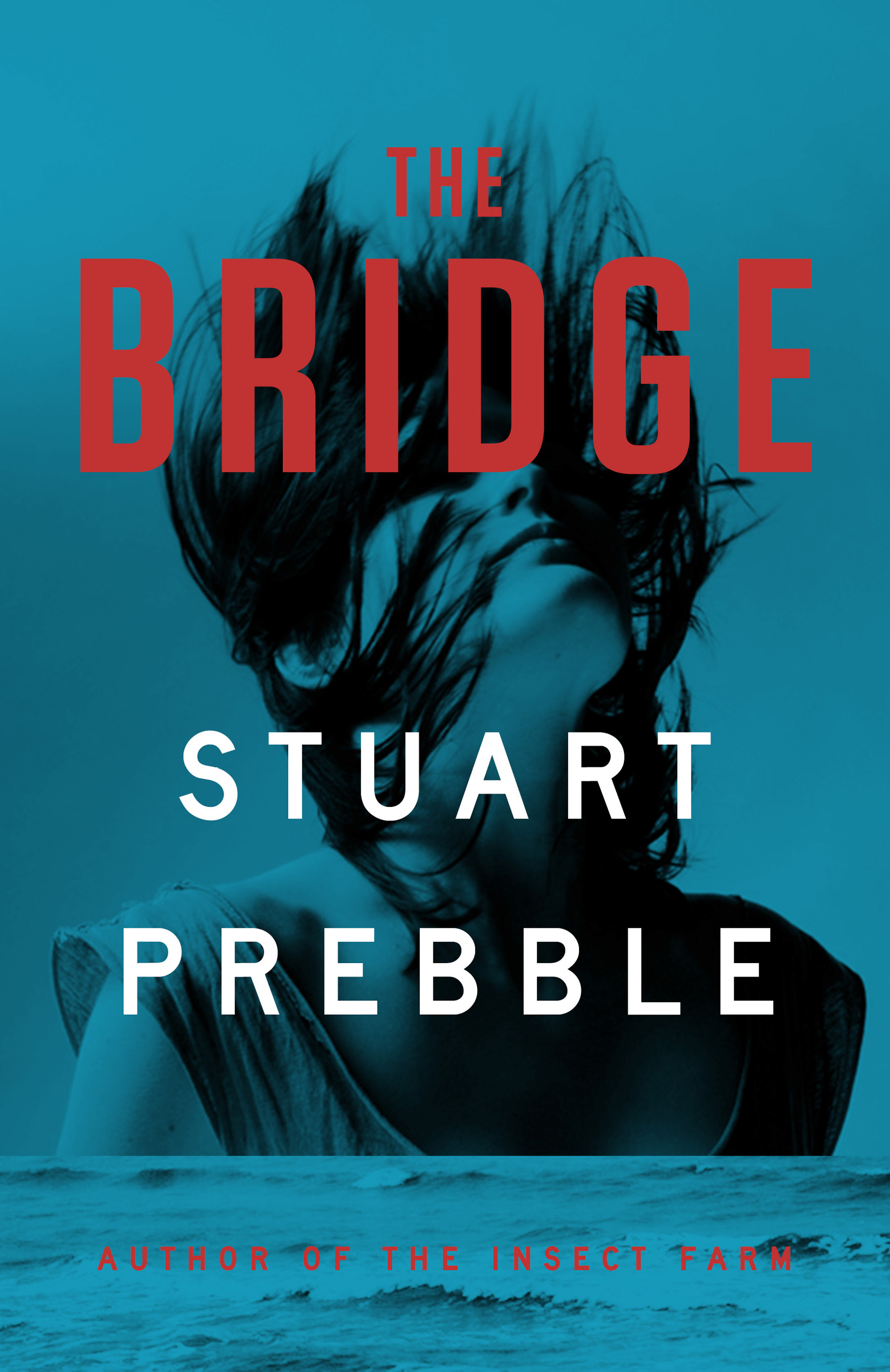 Image de couverture de The Bridge [electronic resource] :