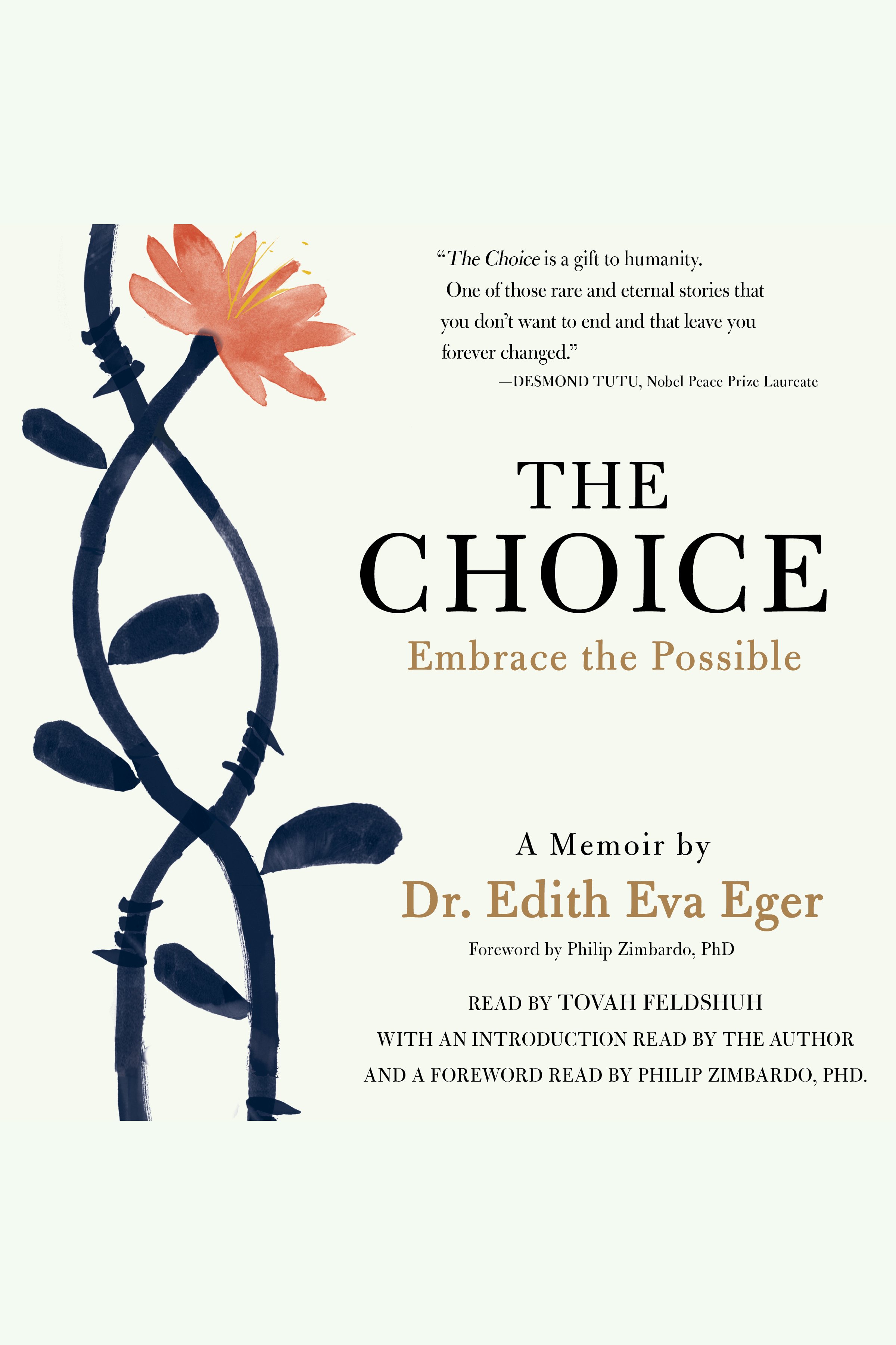 The Choice embrace the possible cover image