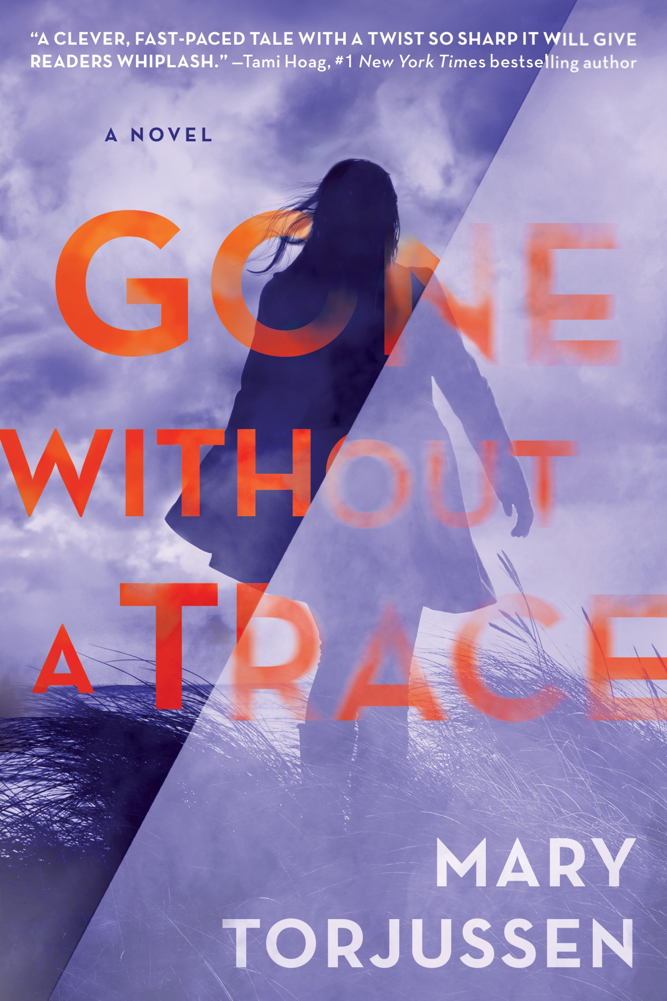 Gone without a trace cover image