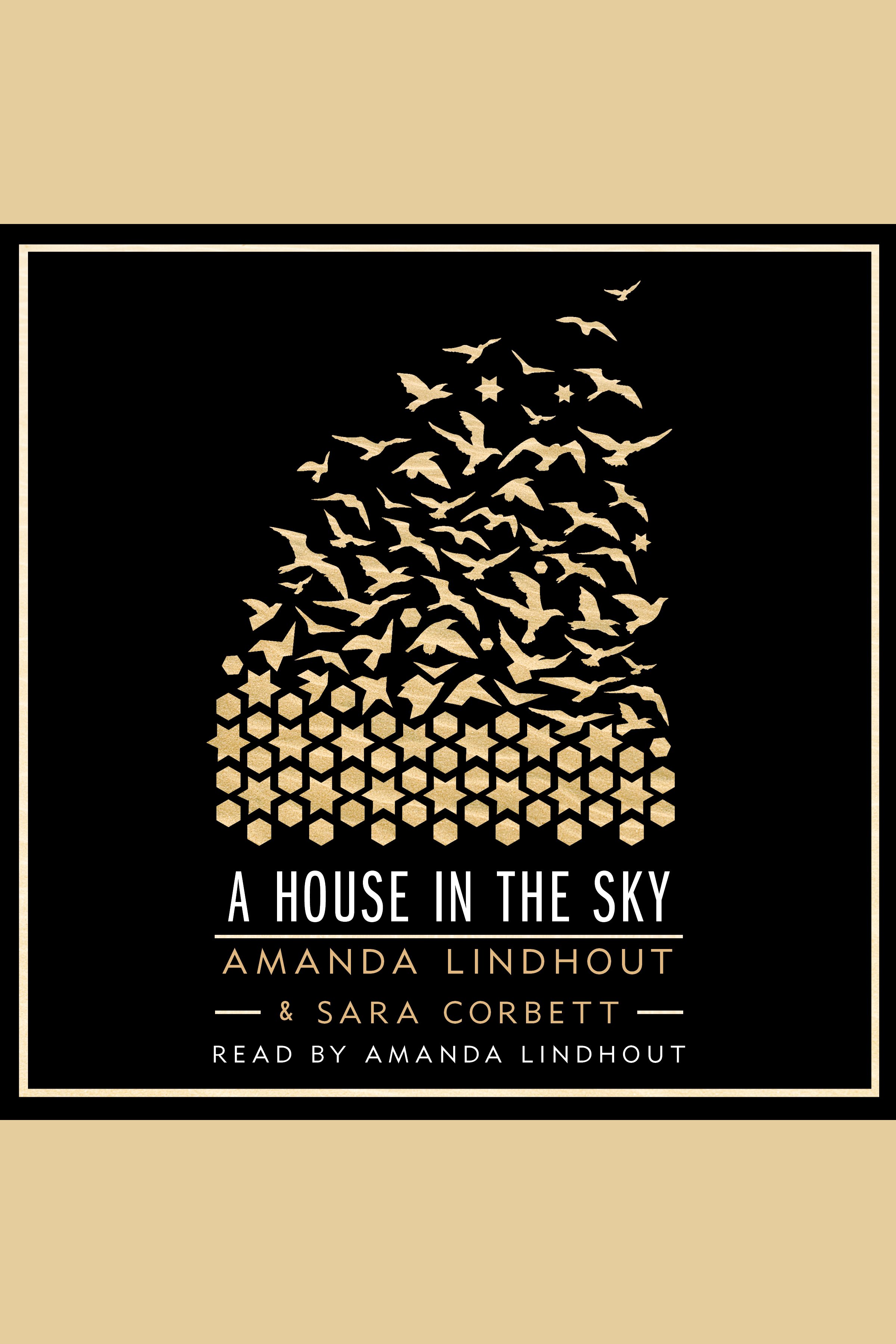 Umschlagbild für A House in the Sky [electronic resource] :