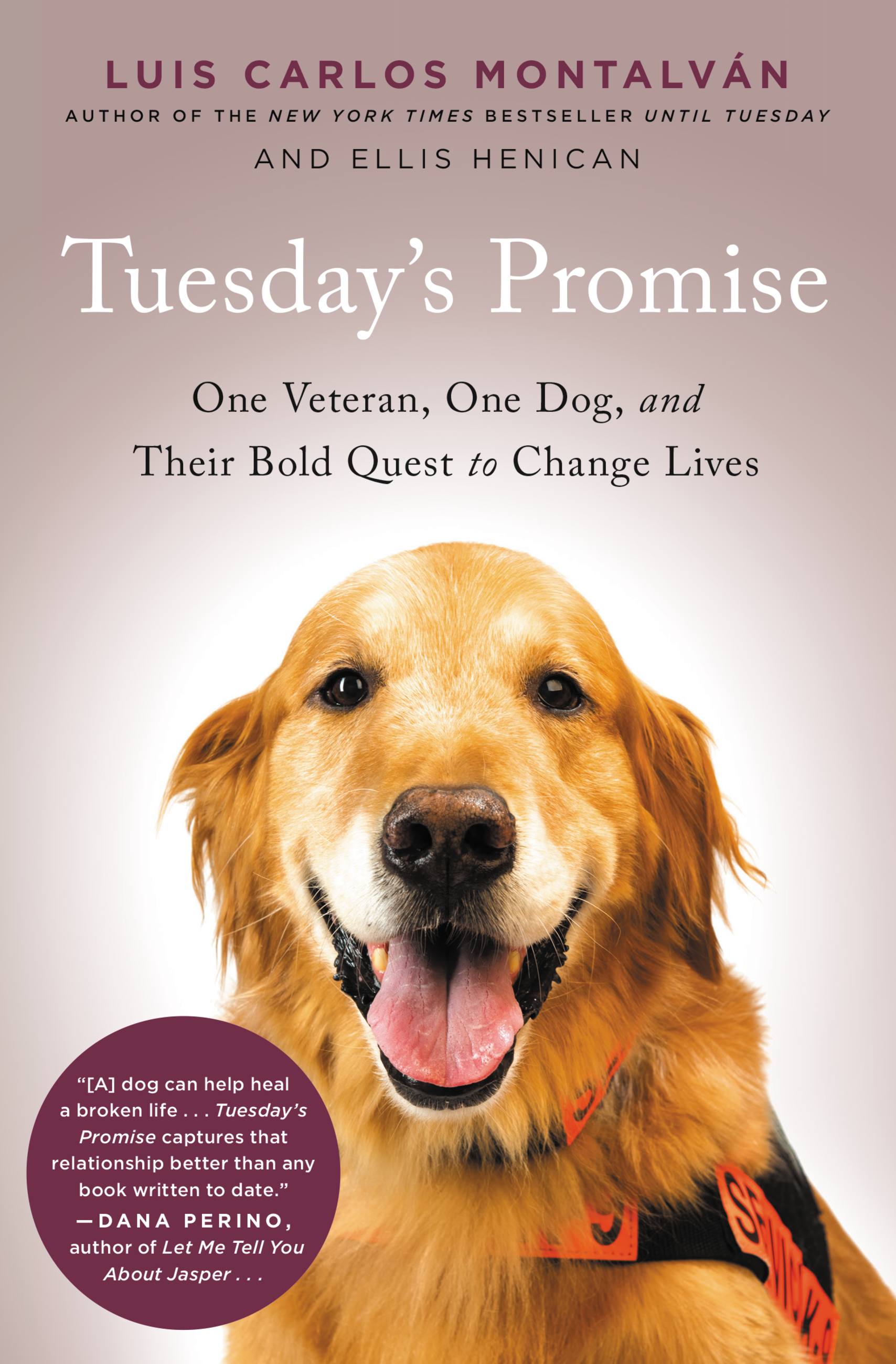 Image de couverture de Tuesday's Promise [electronic resource] : One Veteran, One Dog, and Their Bold Quest to Change Lives