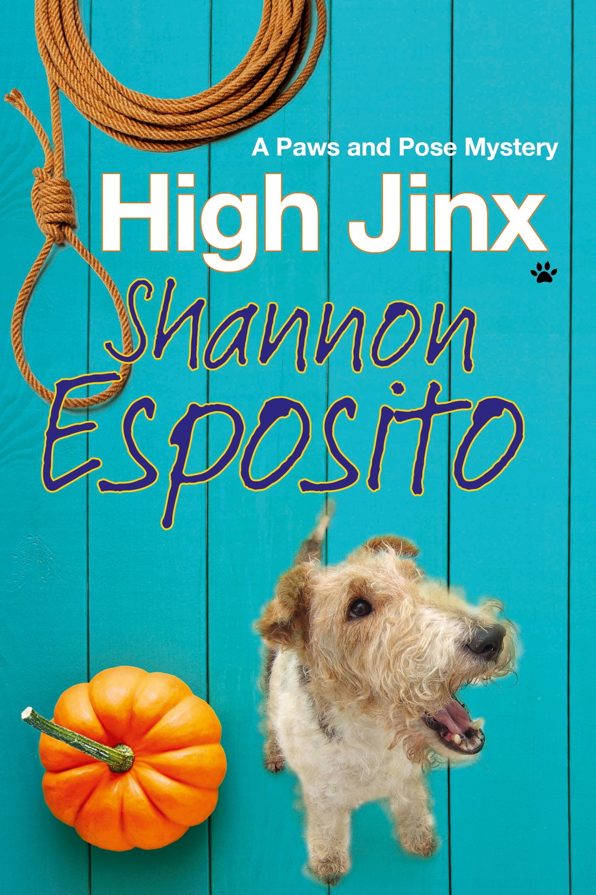 Umschlagbild für High Jinx [electronic resource] :