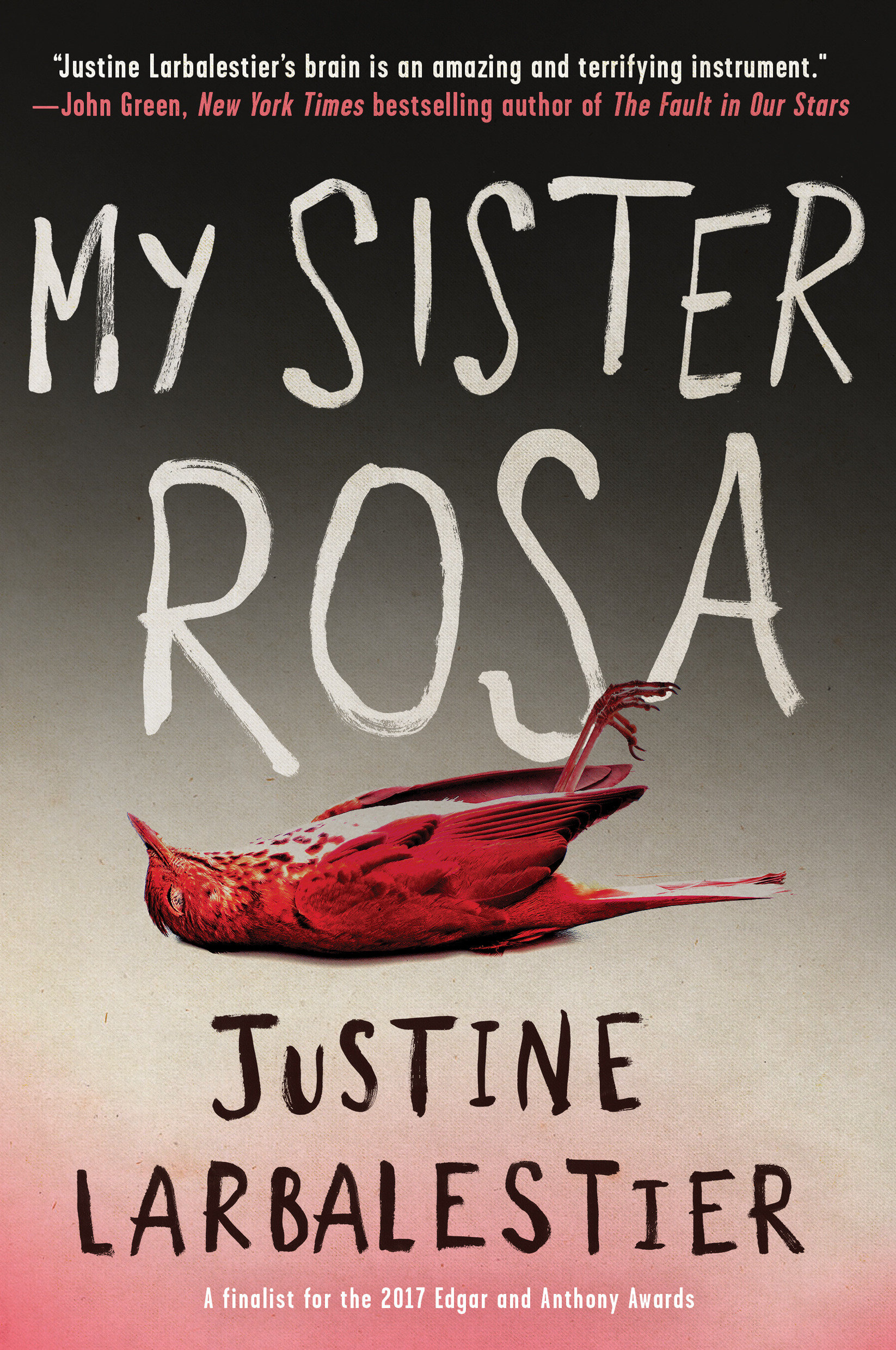My sister Rosa cover image