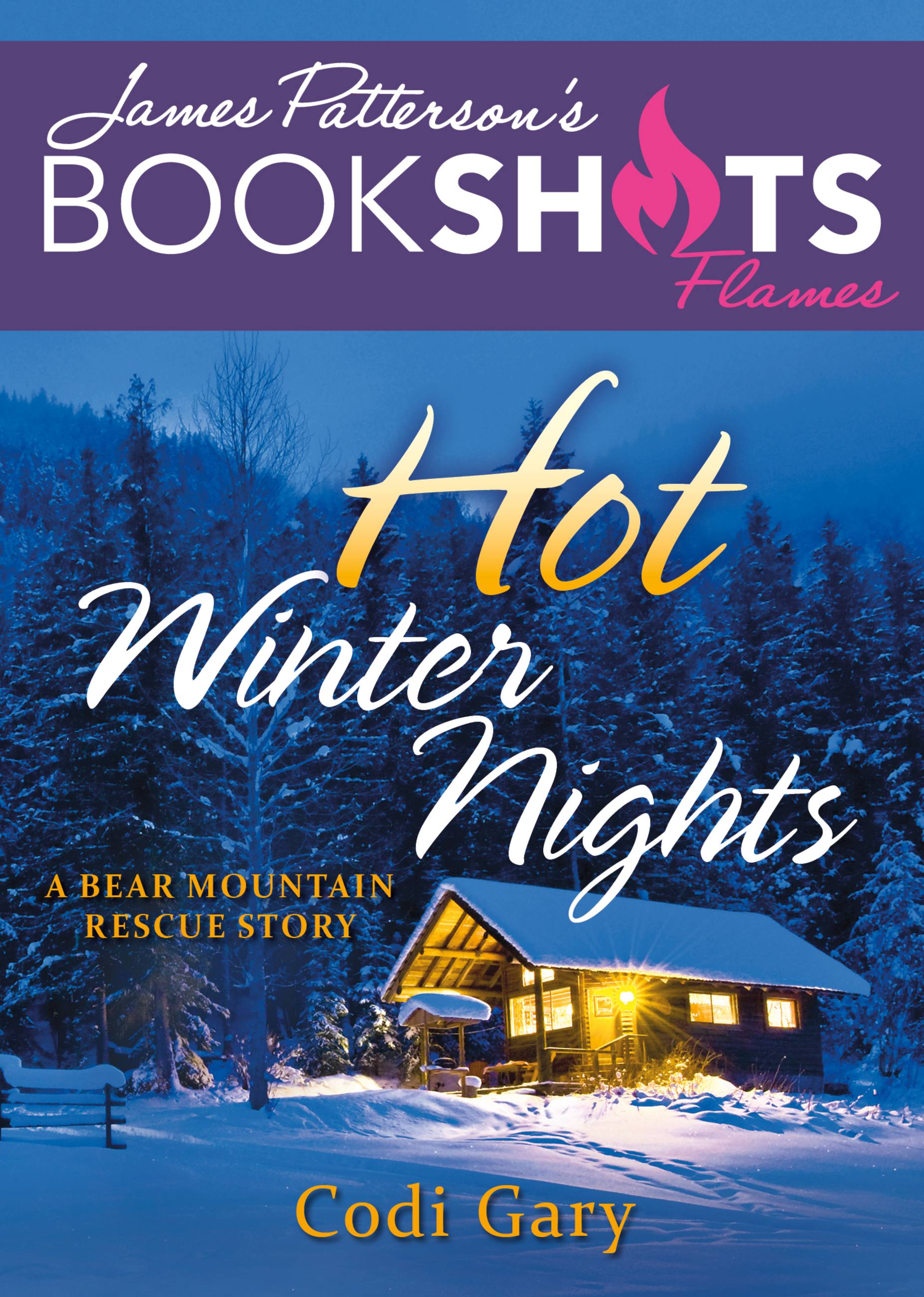 Cover image for Hot Winter Nights [electronic resource] : A Bear Mountain Rescue Story