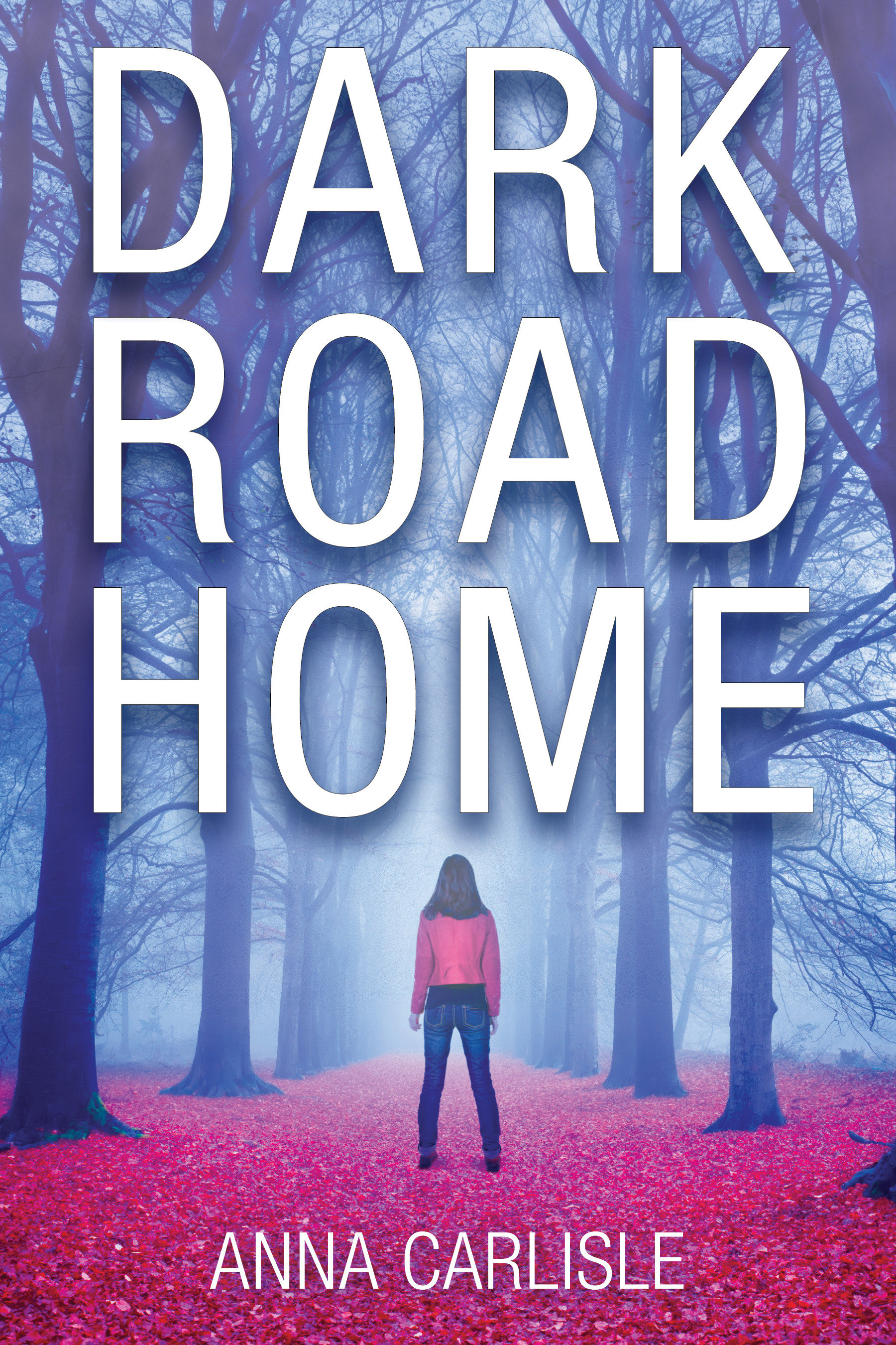Cover image for Dark Road Home [electronic resource] : A Gin Sullivan Mystery