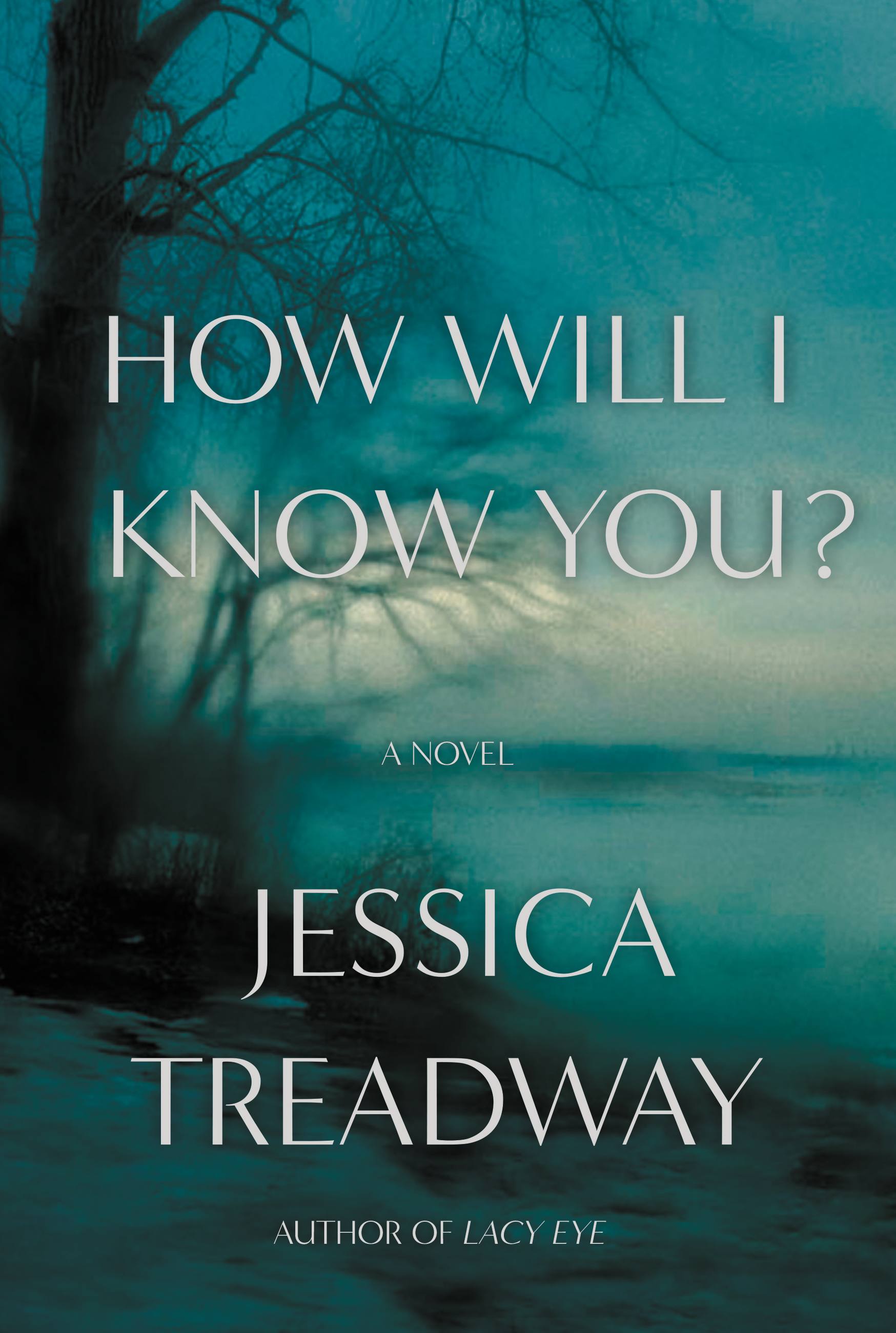 Imagen de portada para How Will I Know You? [electronic resource] : A Novel