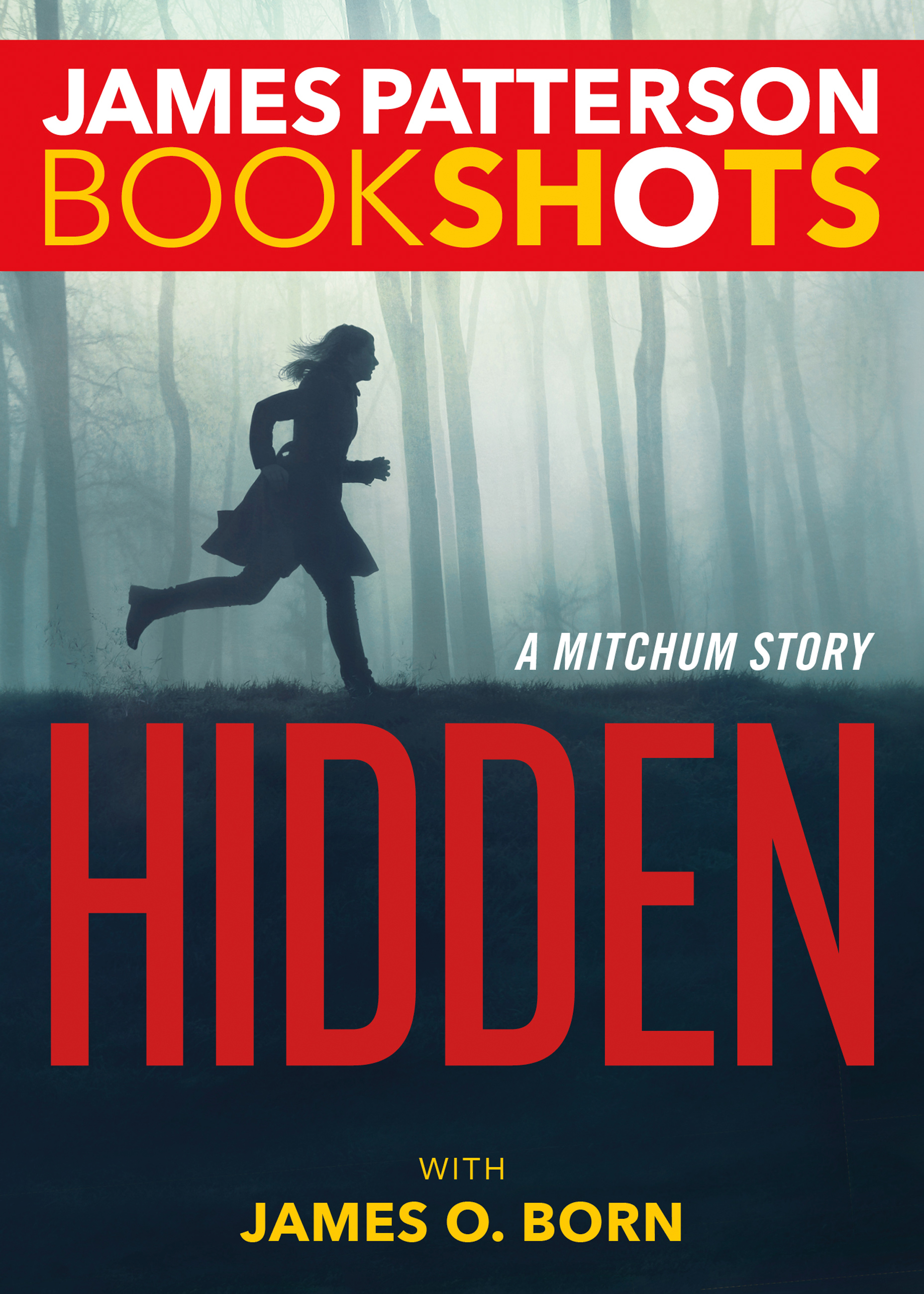Cover image for Hidden [electronic resource] : A Mitchum Story