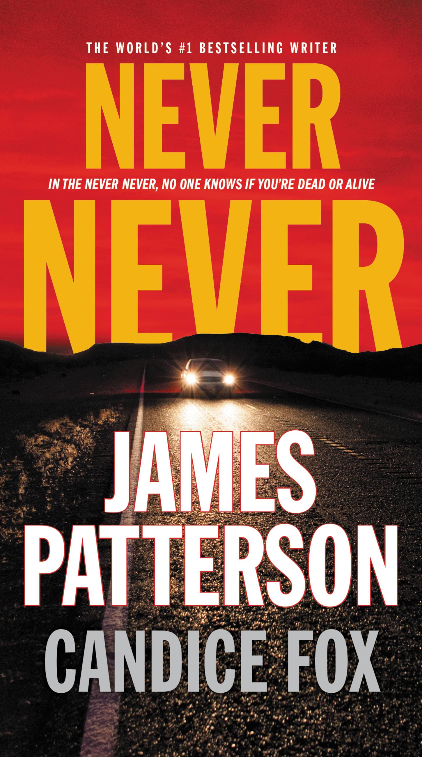 Cover image for Never Never [electronic resource] :