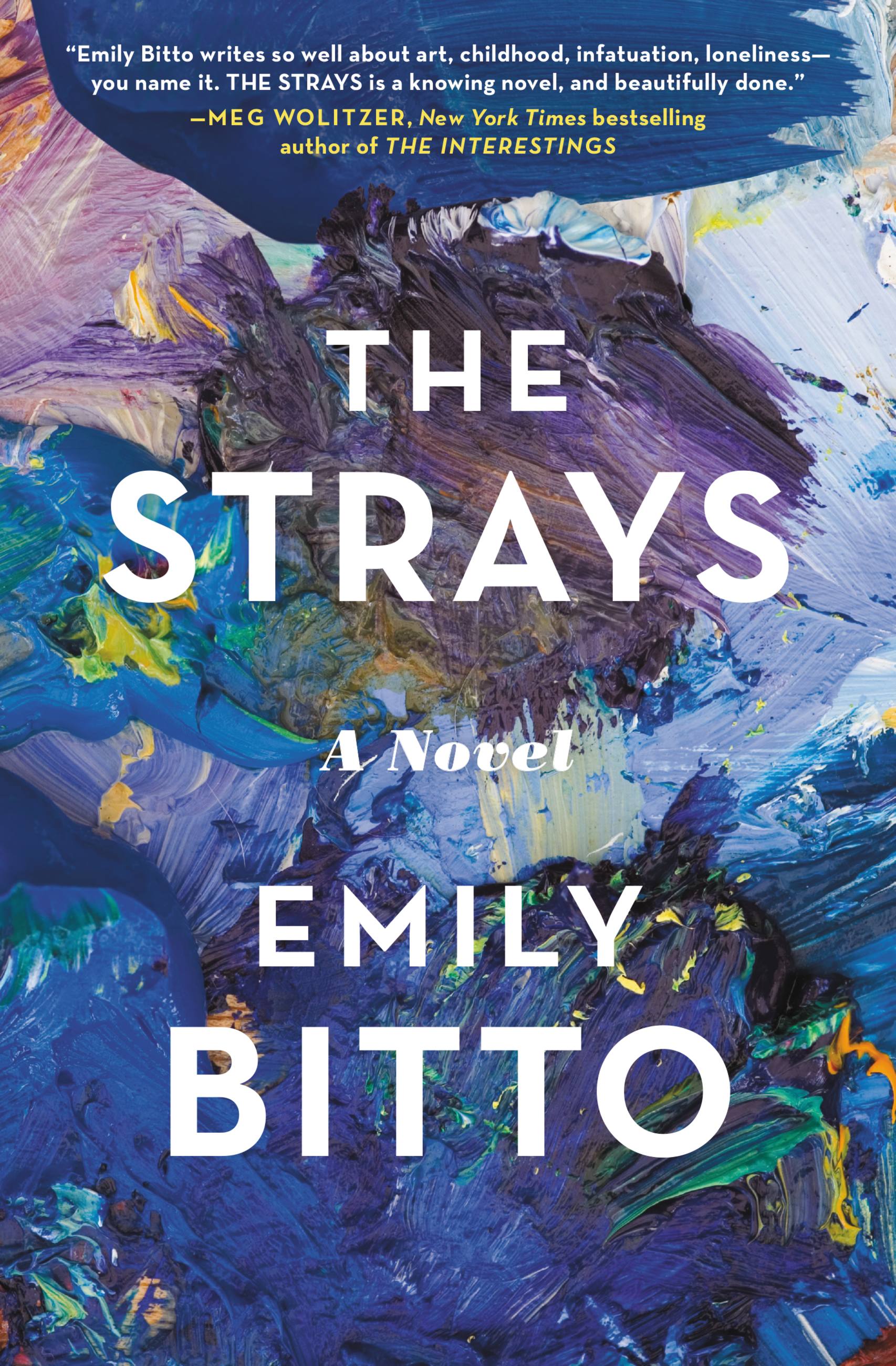 Image de couverture de The Strays [electronic resource] : A Novel