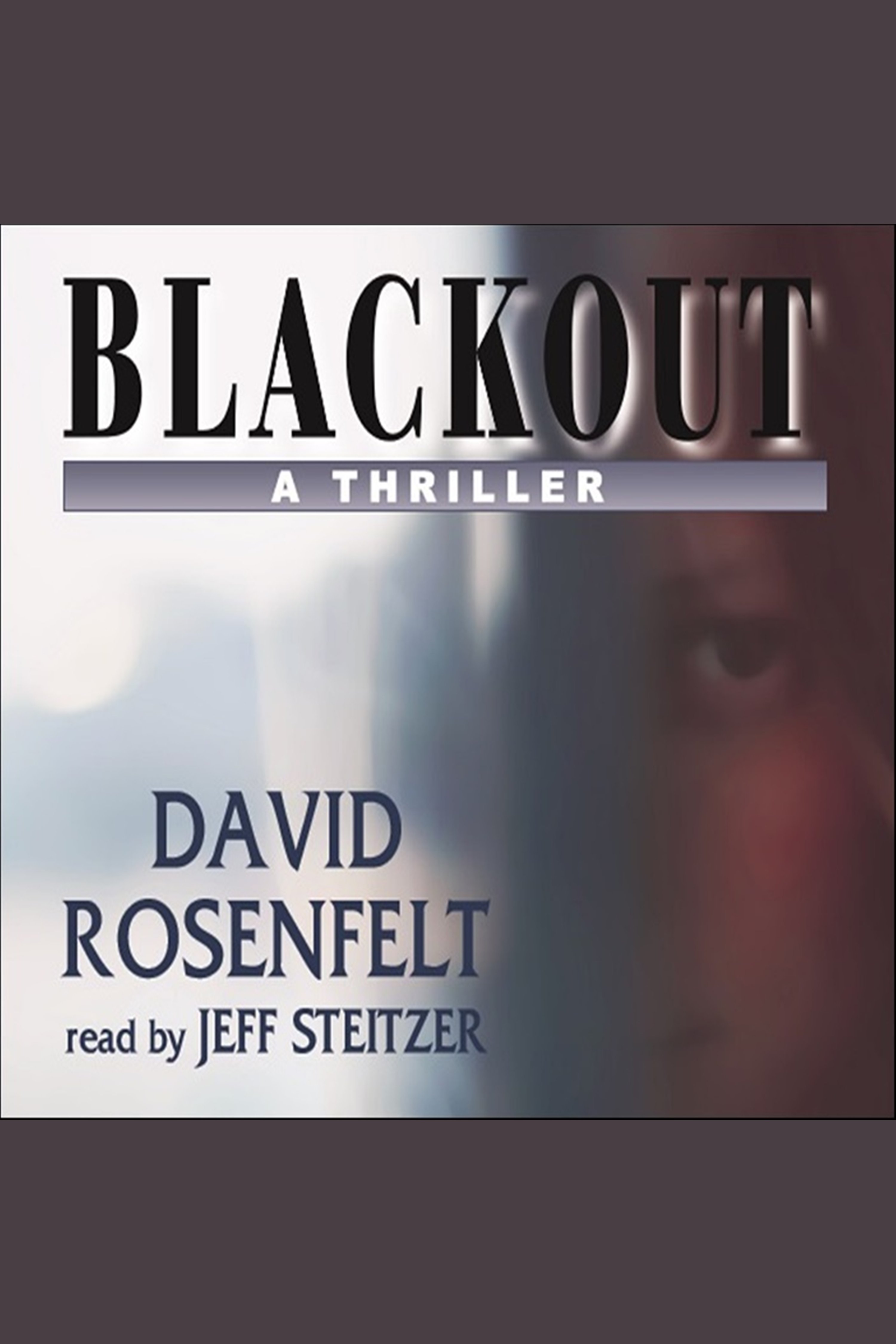 Cover image for Blackout [electronic resource] :