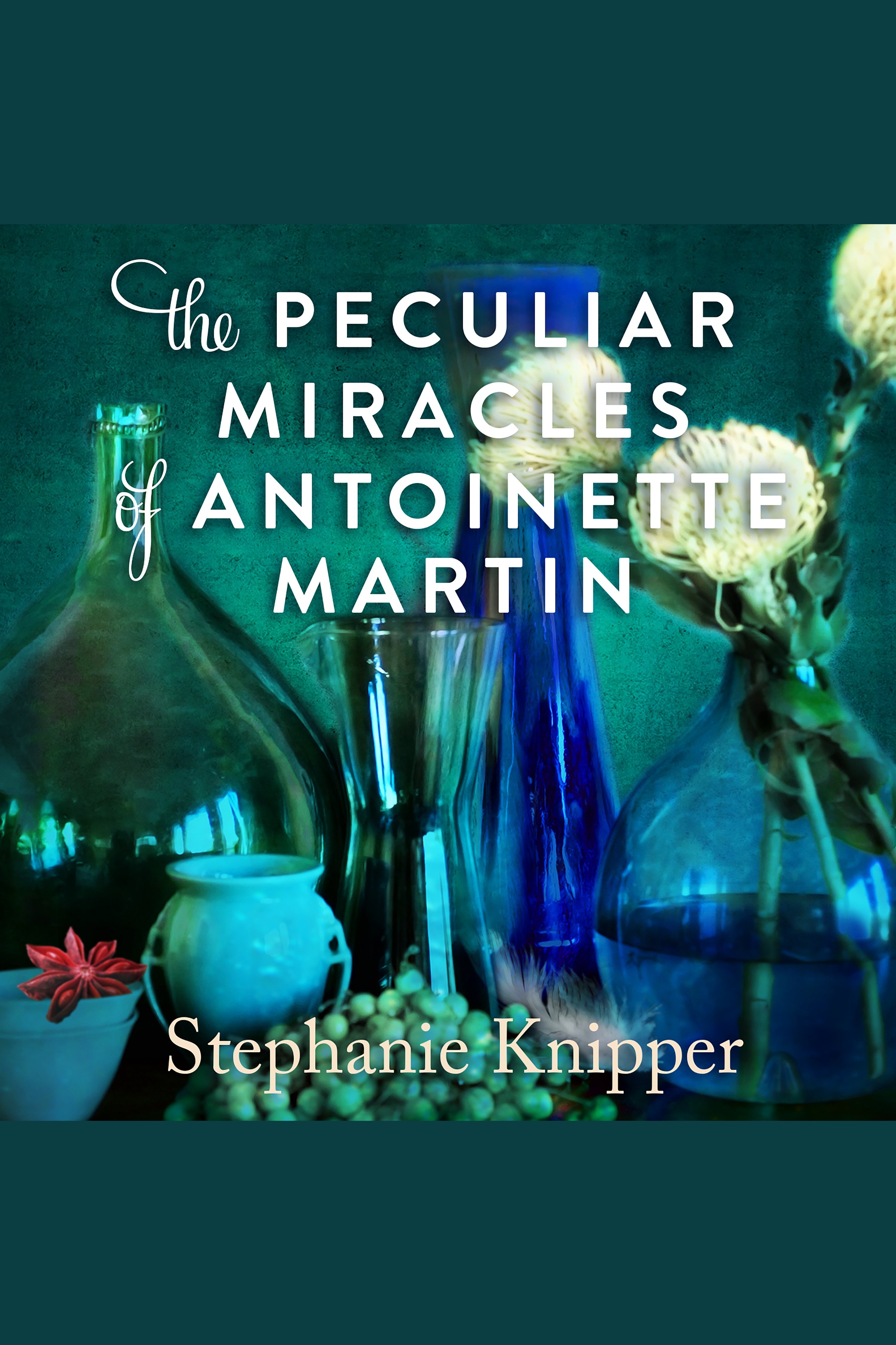 Umschlagbild für The Peculiar Miracles of Antoinette Martin [electronic resource] :