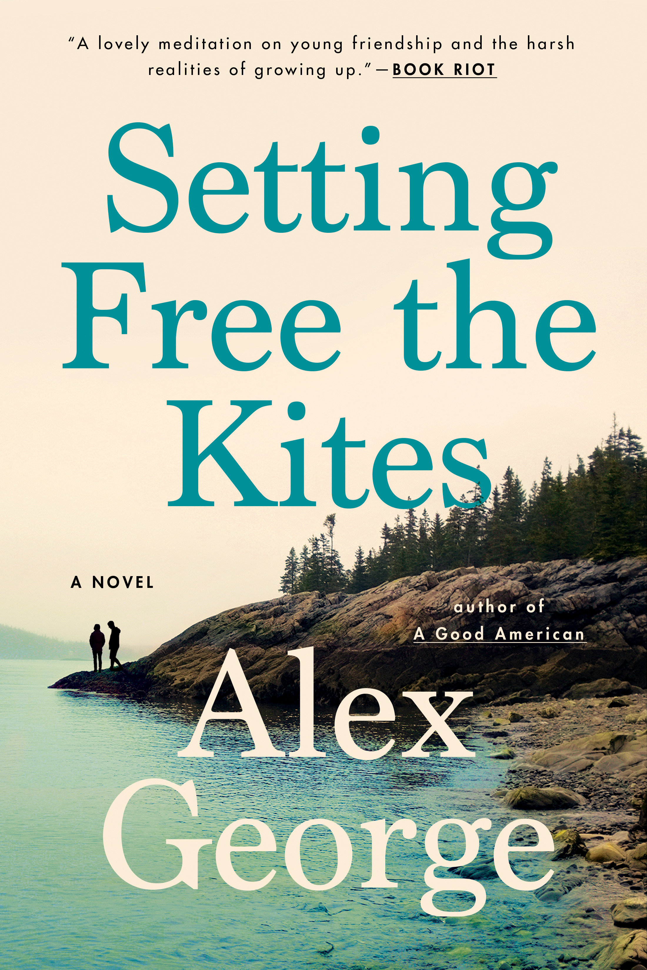Setting free the kites cover image