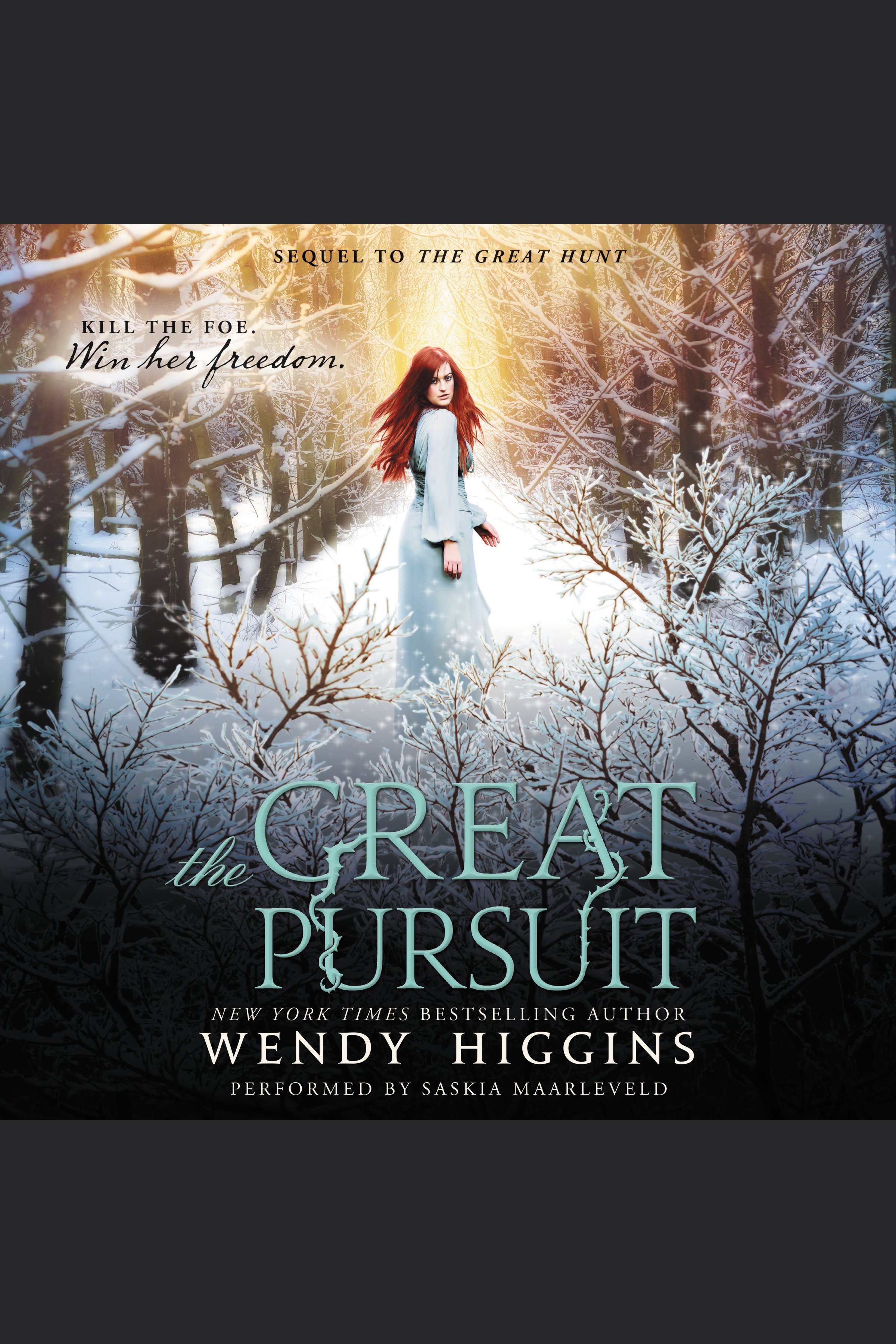 Cover image for The Great Pursuit [electronic resource] :