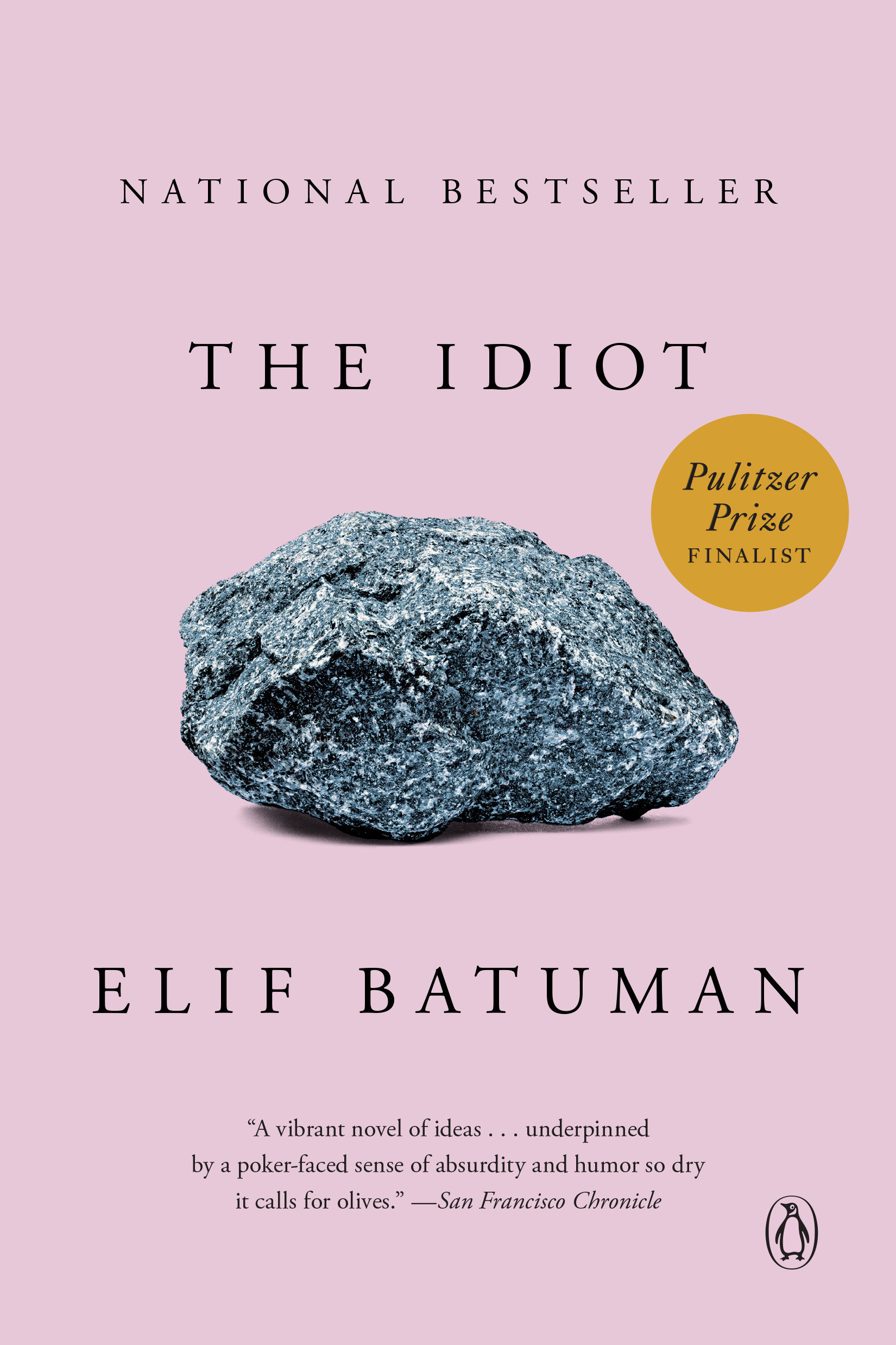 The idiot cover image